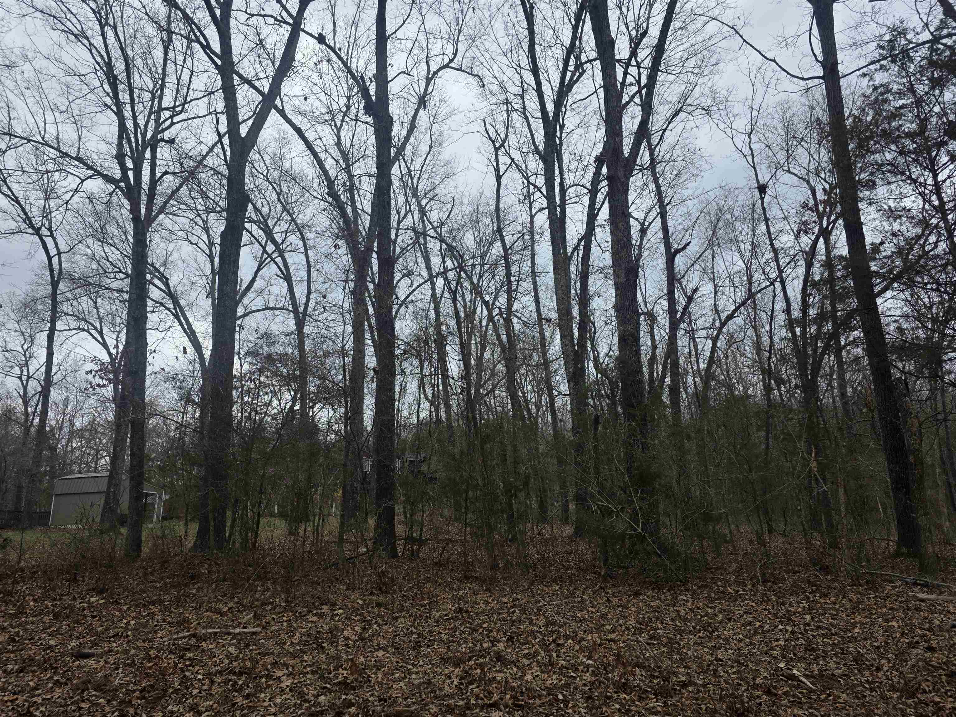 L33 B2 Cherokee  Cherokee Village, AR