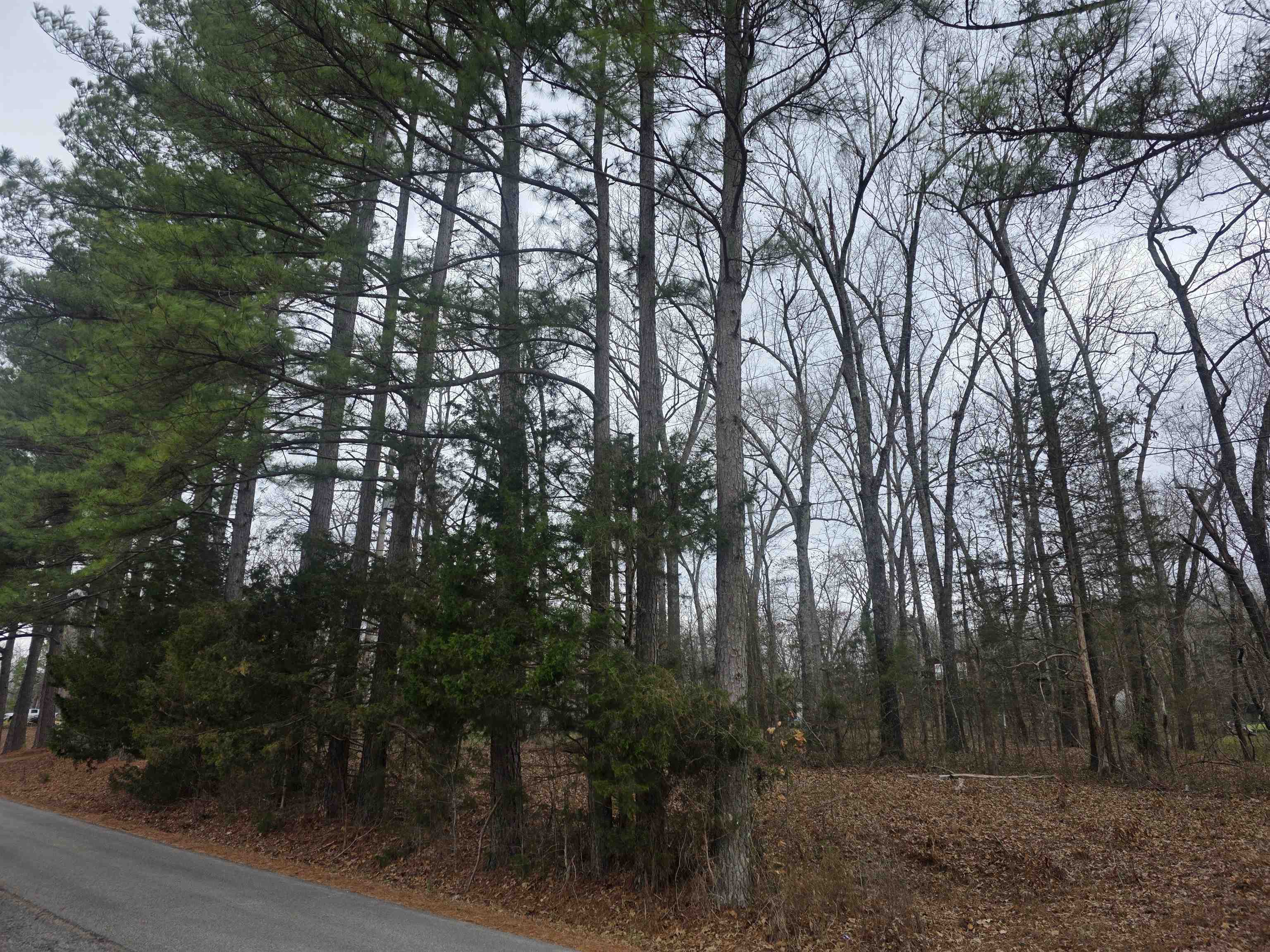 L33 B2 Cherokee  Cherokee Village, AR