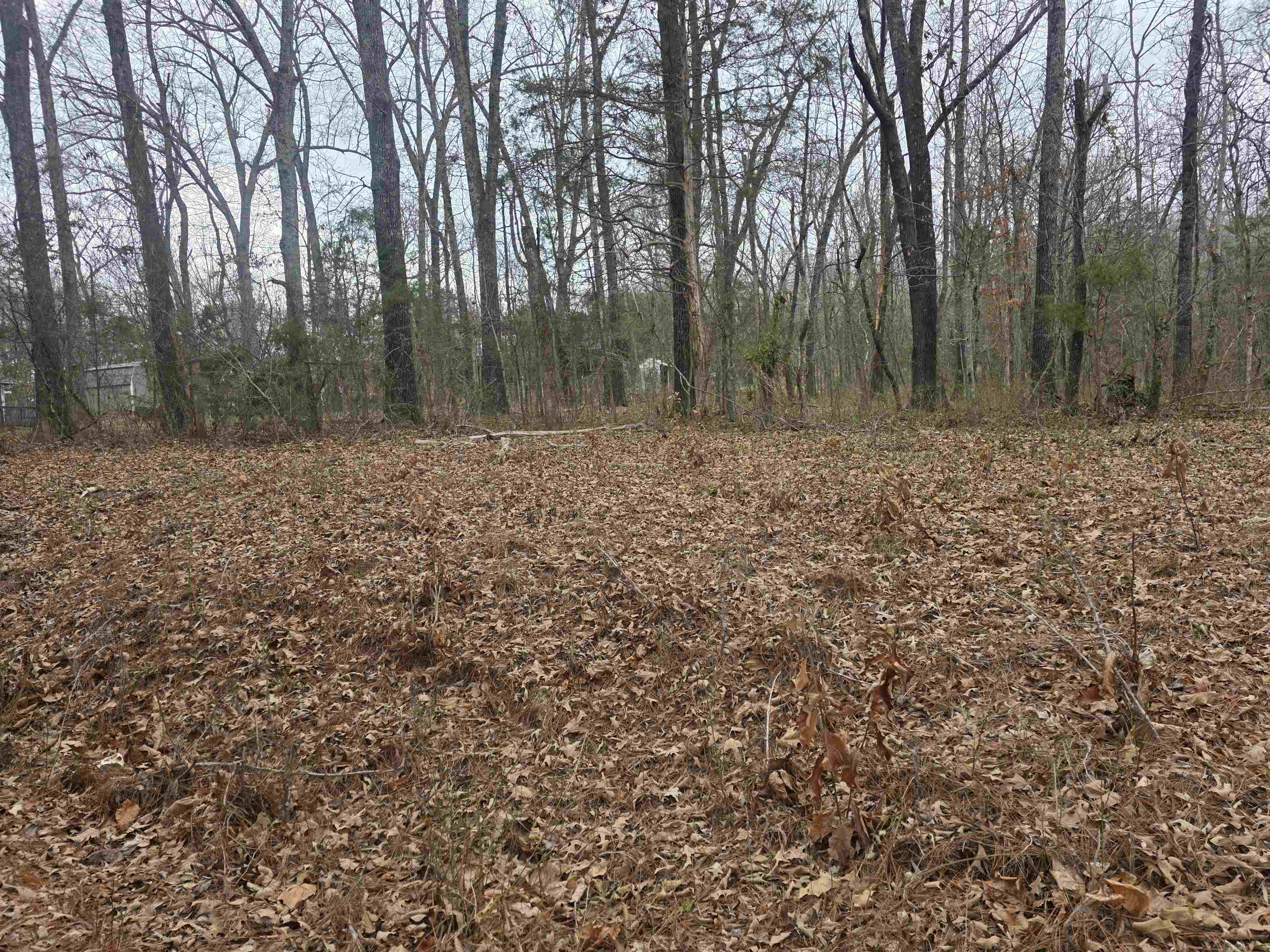 23 lots Cherokee Village & Ozark Acres  Cherokee Village, AR