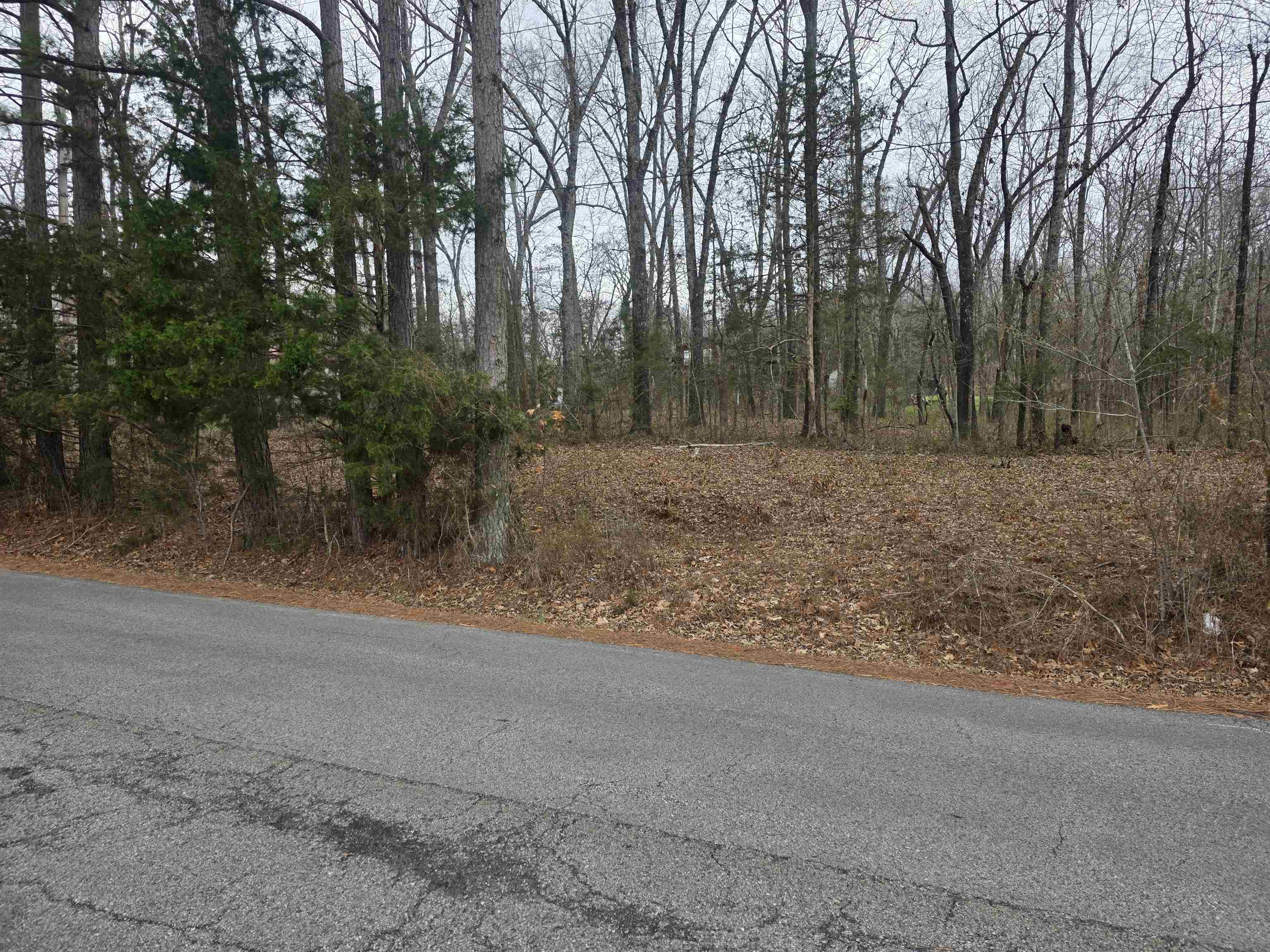 23 lots Cherokee Village & Ozark Acres  Cherokee Village, AR