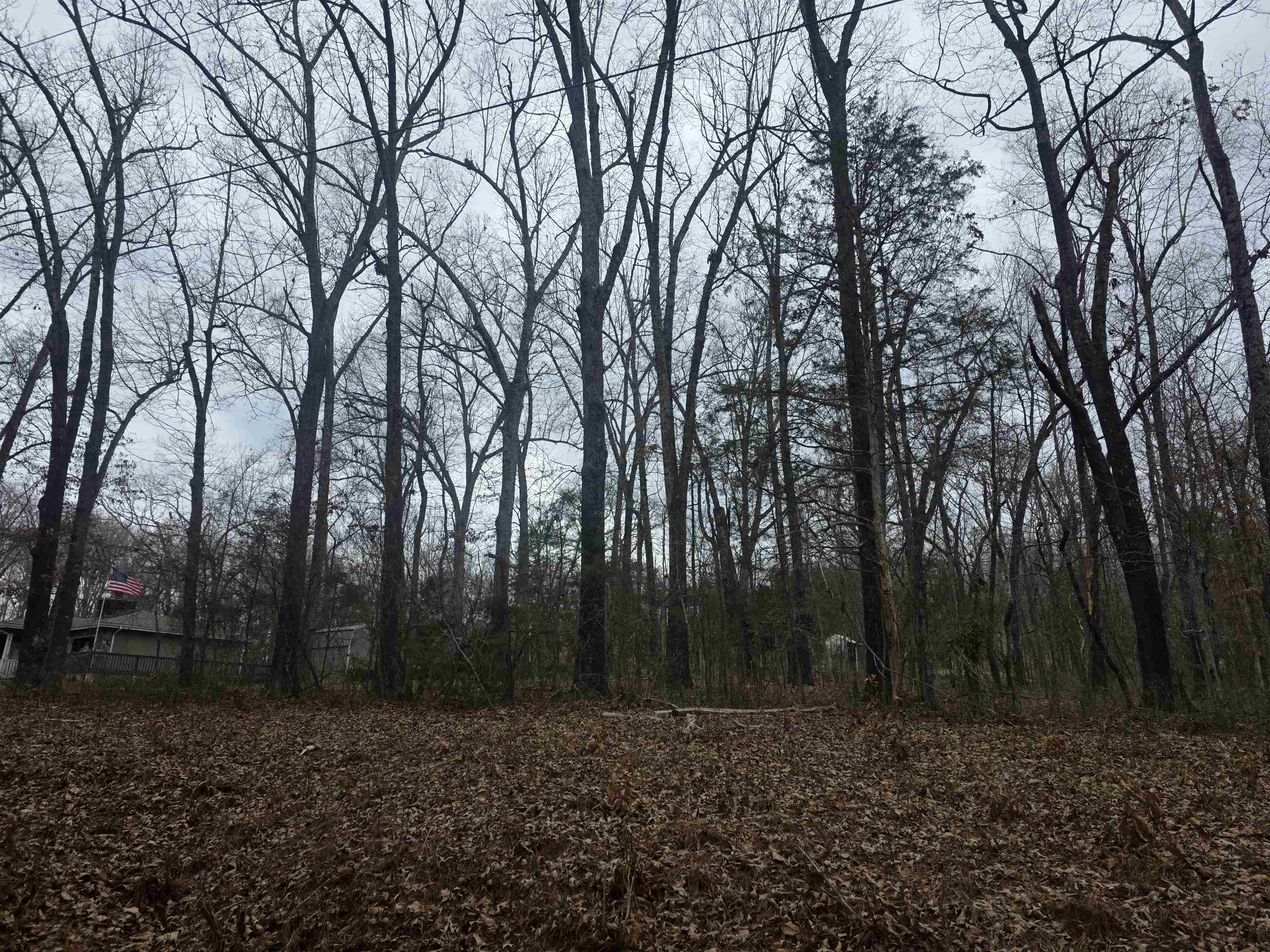 23 lots Cherokee Village & Ozark Acres  Cherokee Village, AR