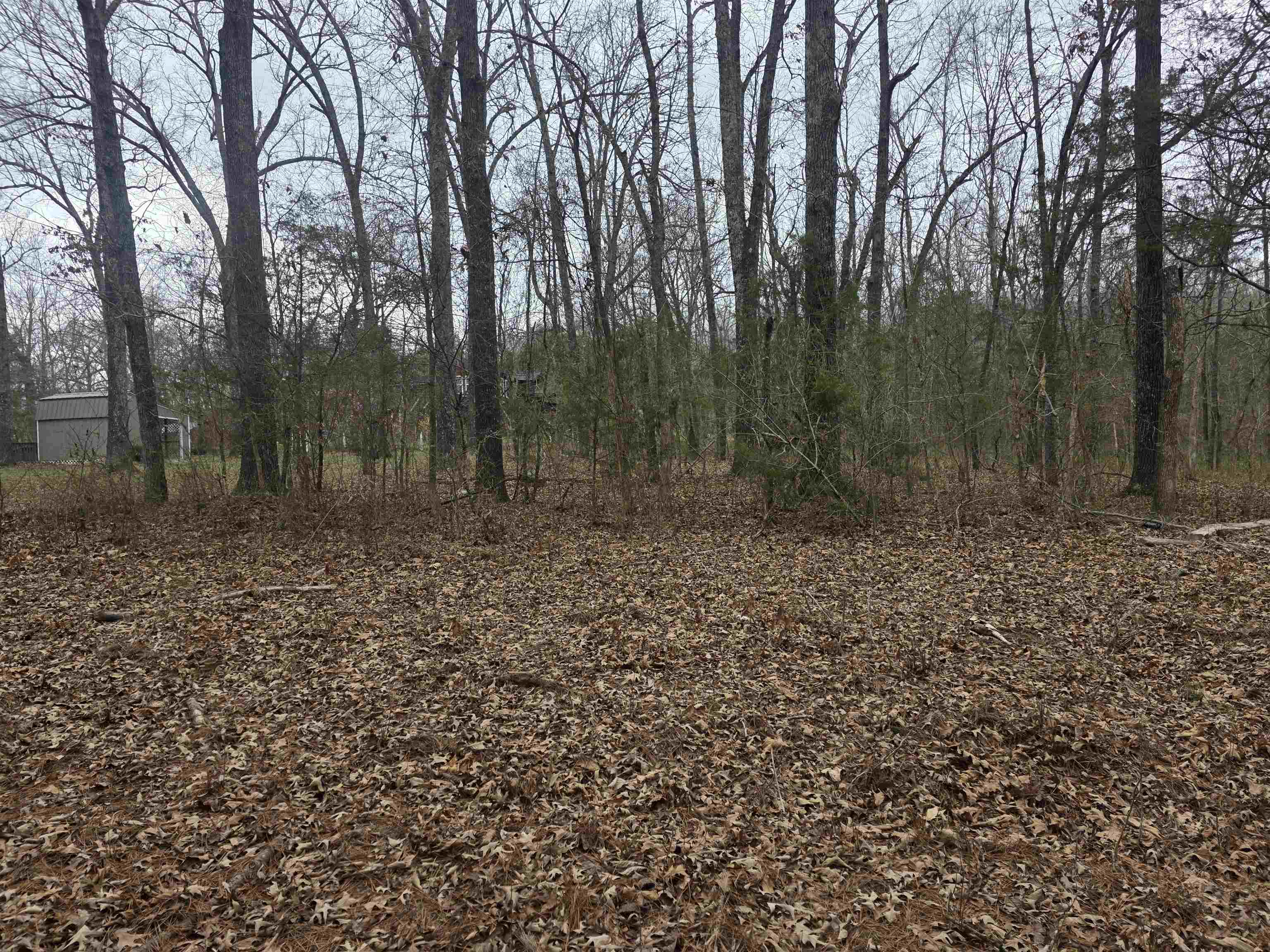 23 lots Cherokee Village & Ozark Acres  Cherokee Village, AR