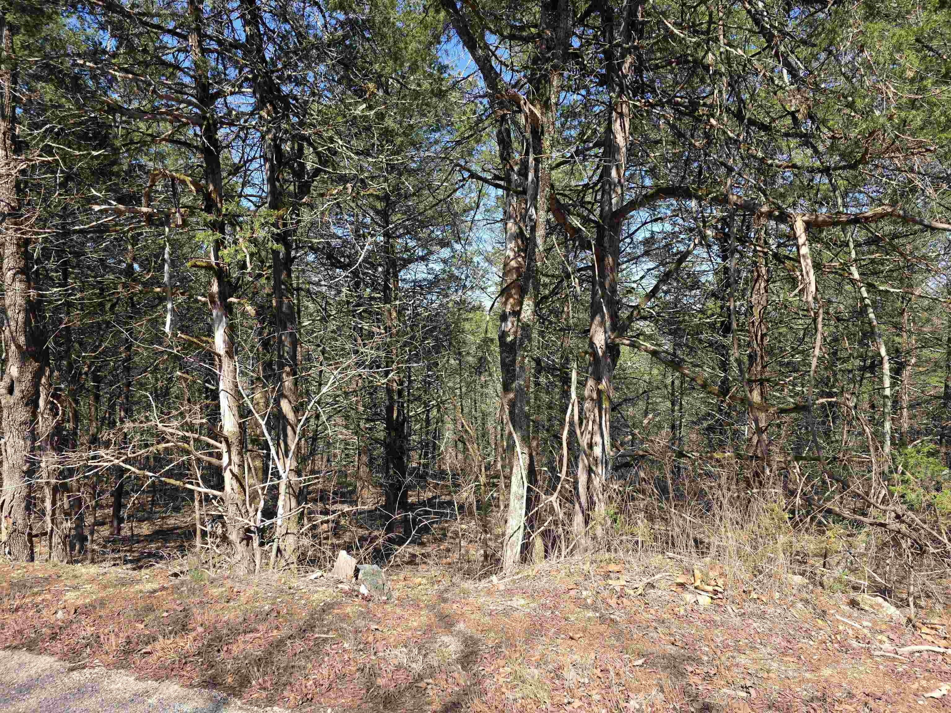 23 lots Cherokee Village & Ozark Acres  Cherokee Village, AR