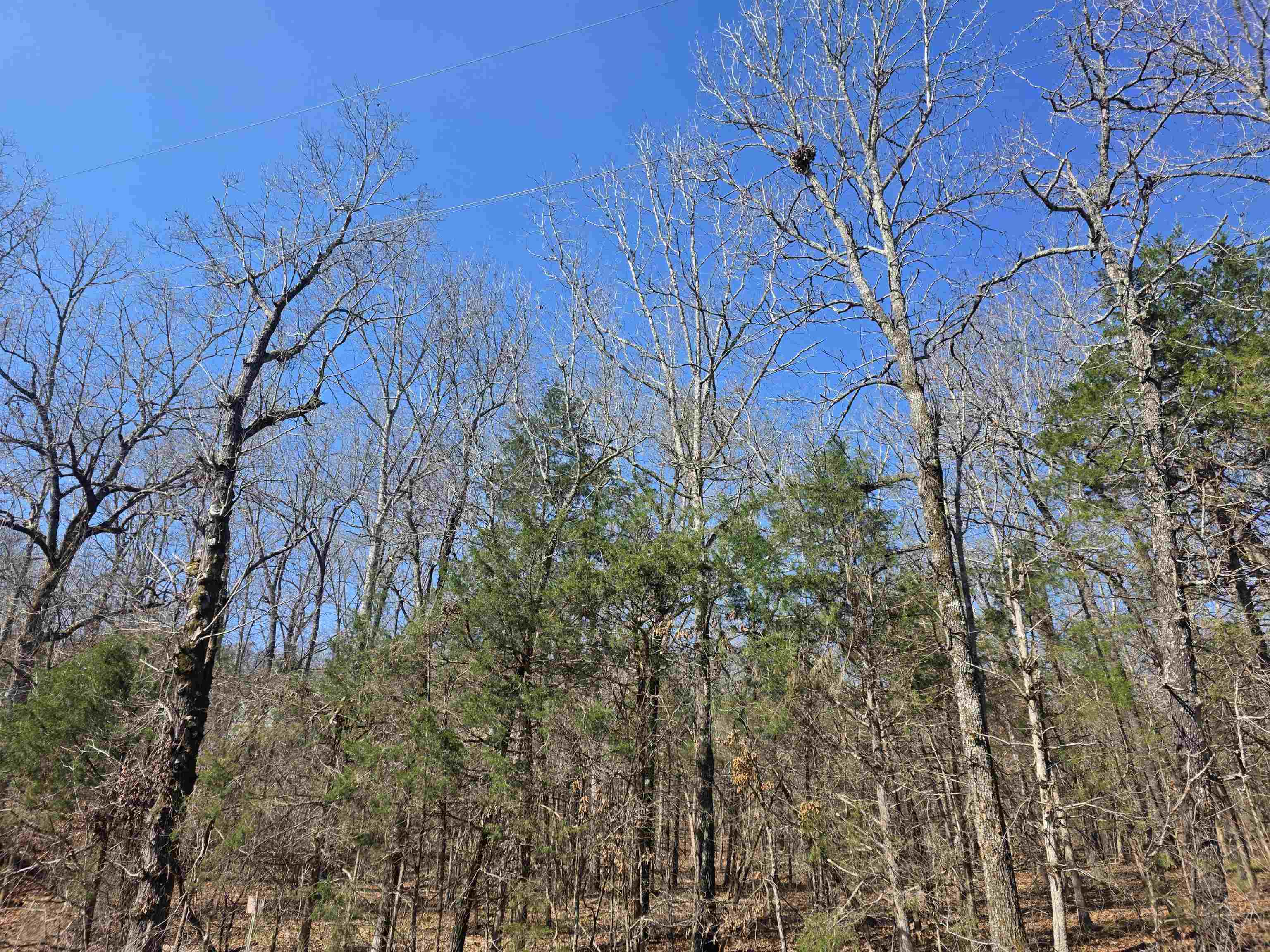 23 lots Cherokee Village & Ozark Acres  Cherokee Village, AR