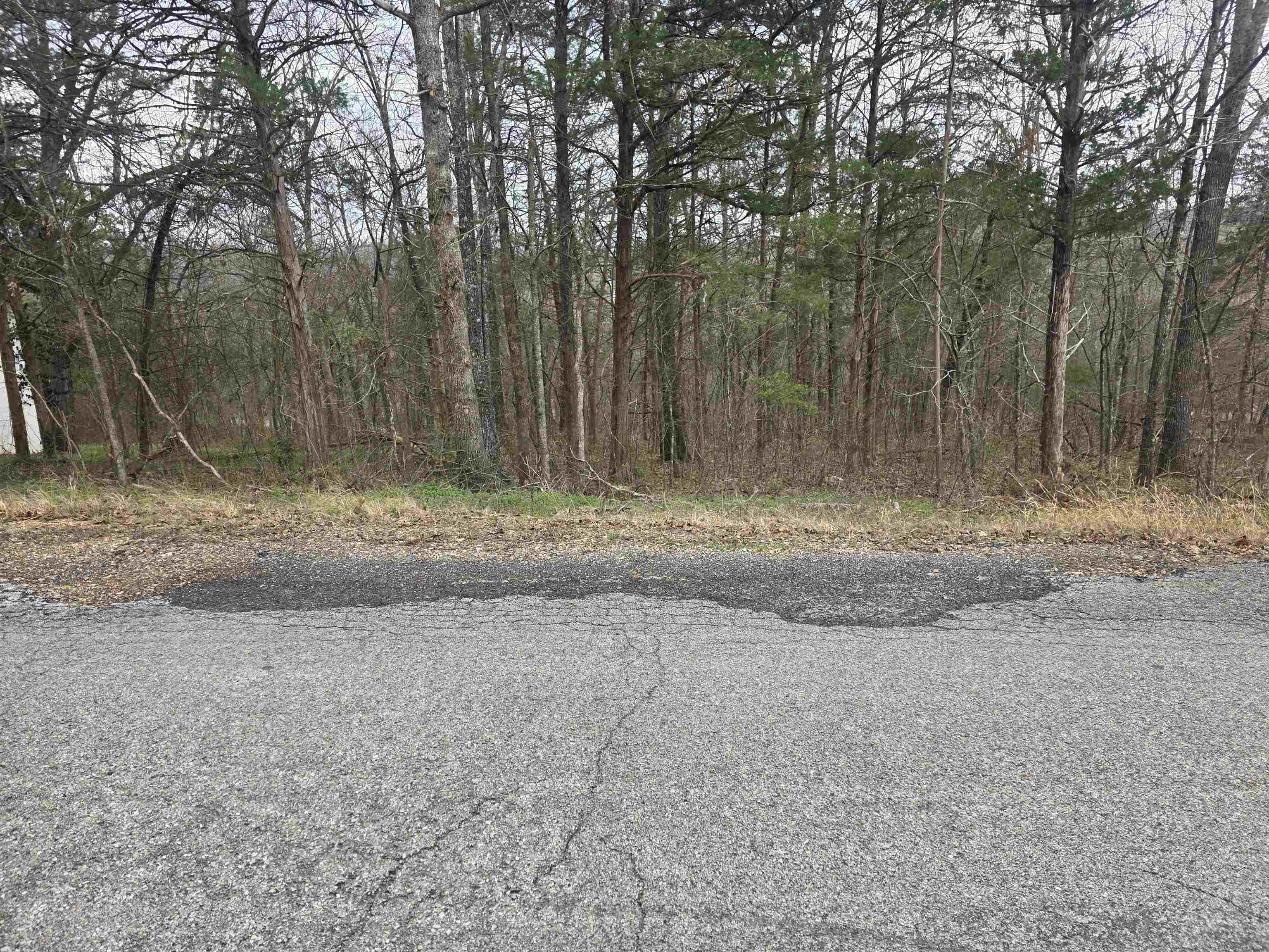 23 lots Cherokee Village & Ozark Acres  Cherokee Village, AR