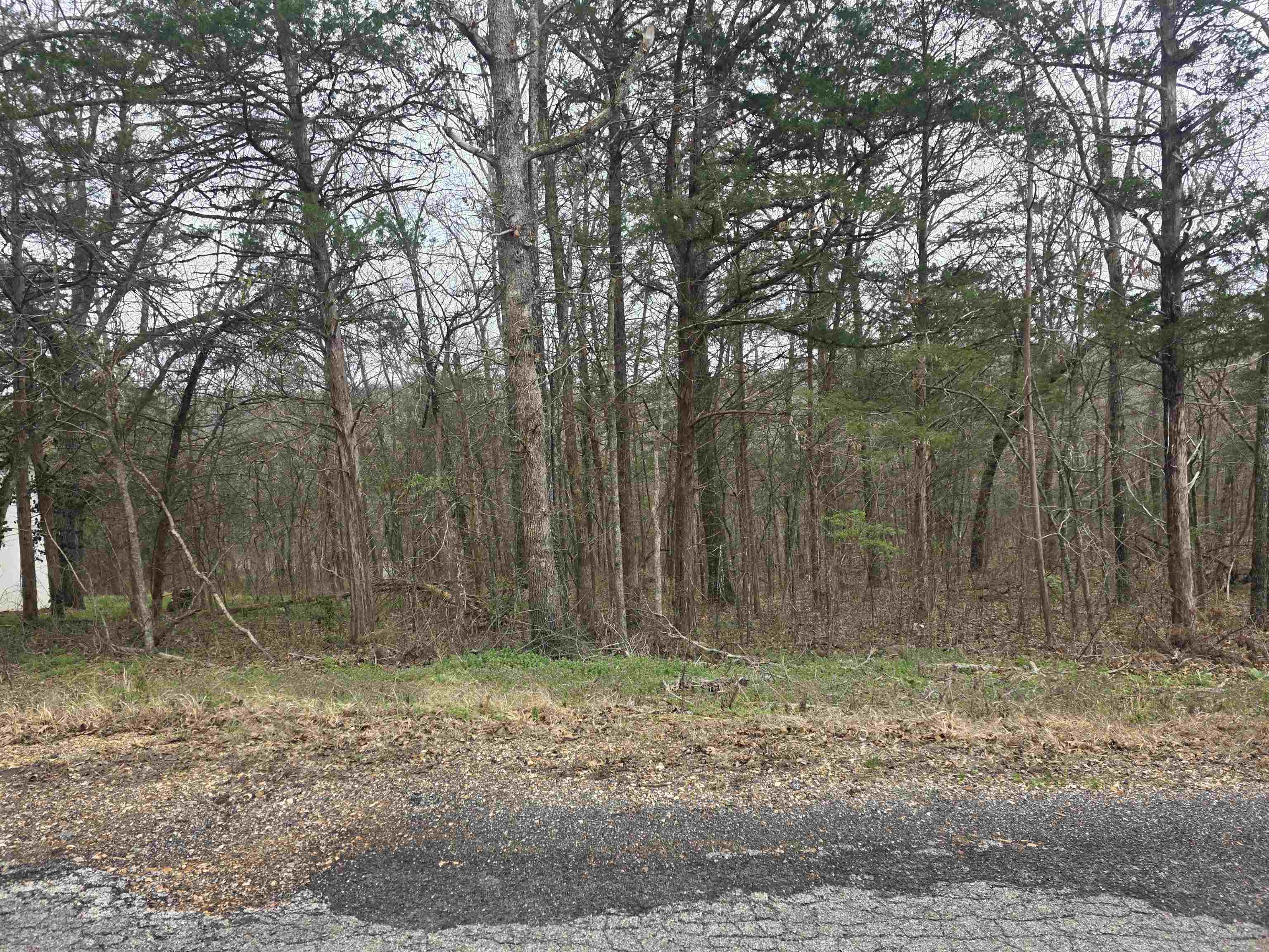 23 lots Cherokee Village & Ozark Acres  Cherokee Village, AR