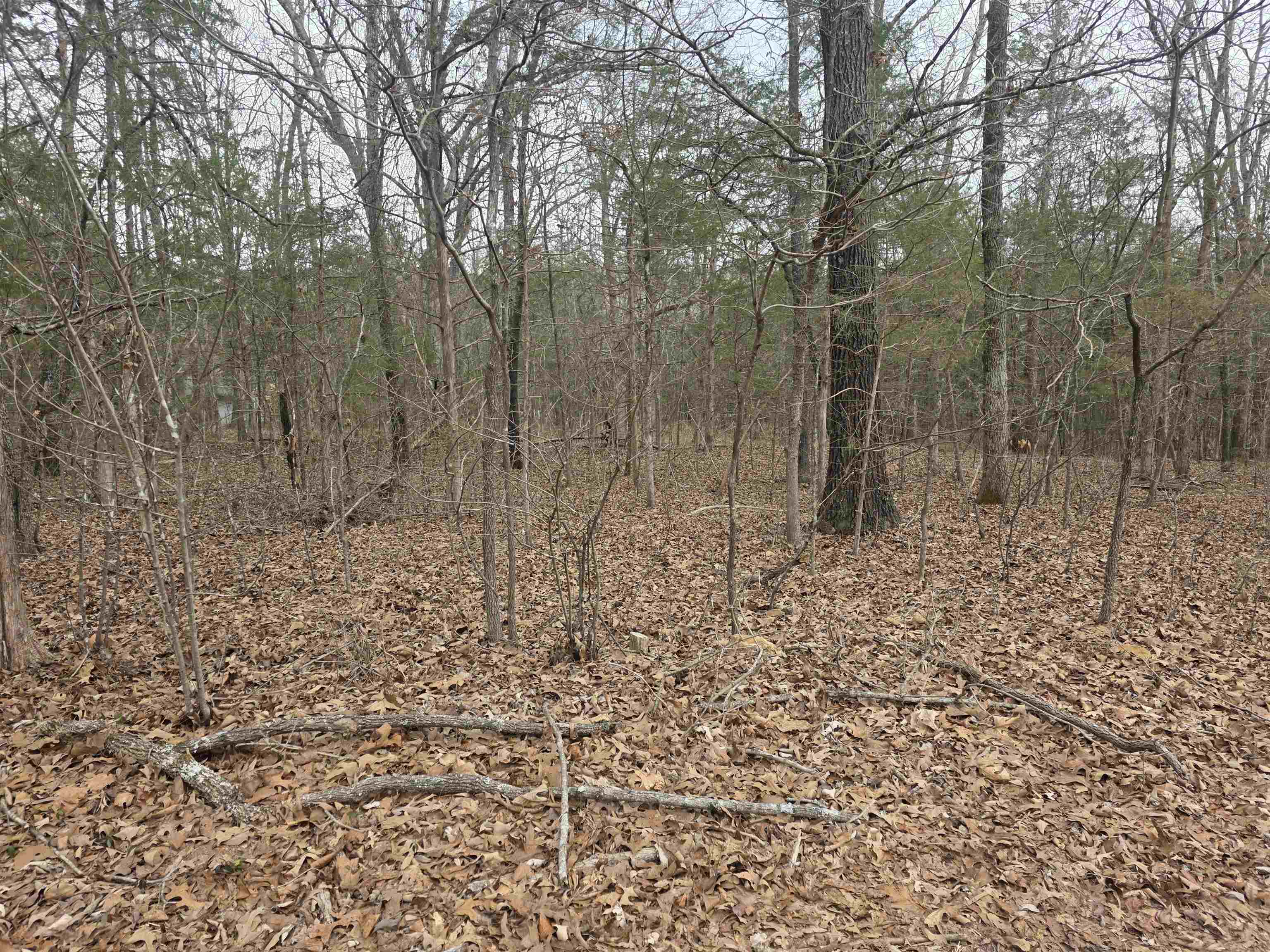 23 lots Cherokee Village & Ozark Acres  Cherokee Village, AR