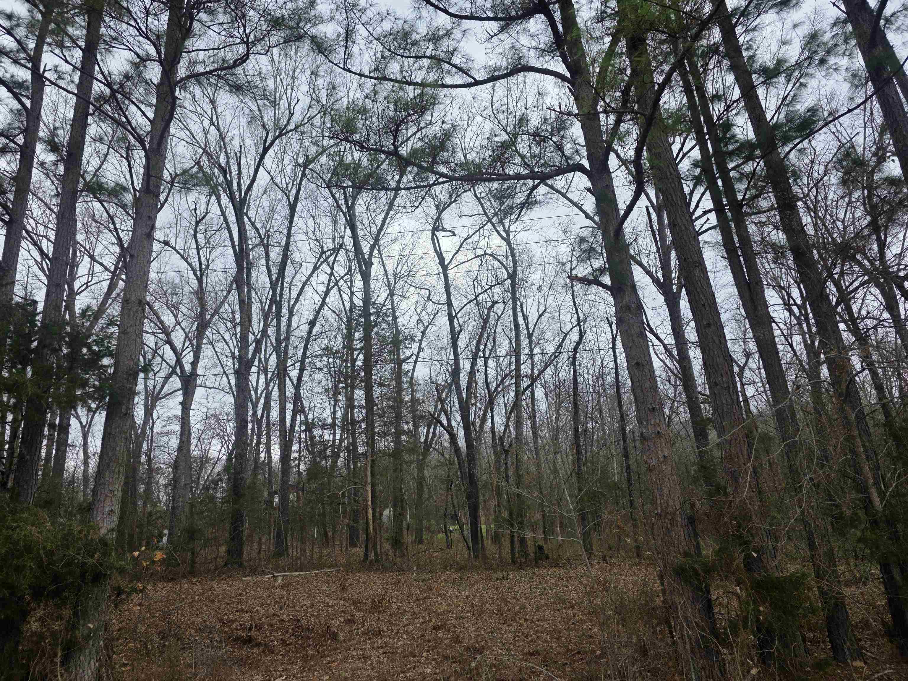 23 lots Cherokee Village & Ozark Acres  Cherokee Village, AR
