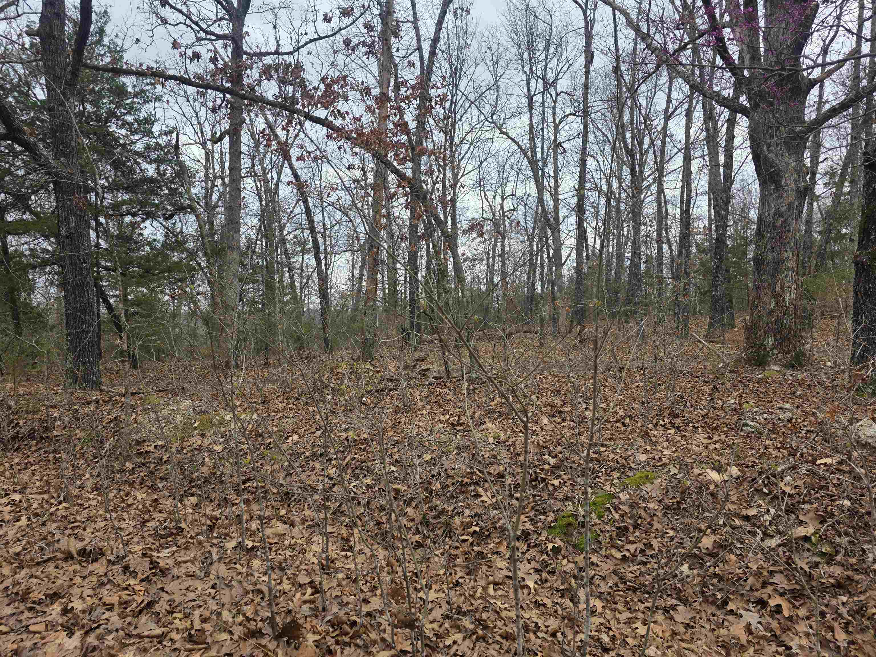 23 lots Cherokee Village & Ozark Acres  Cherokee Village, AR