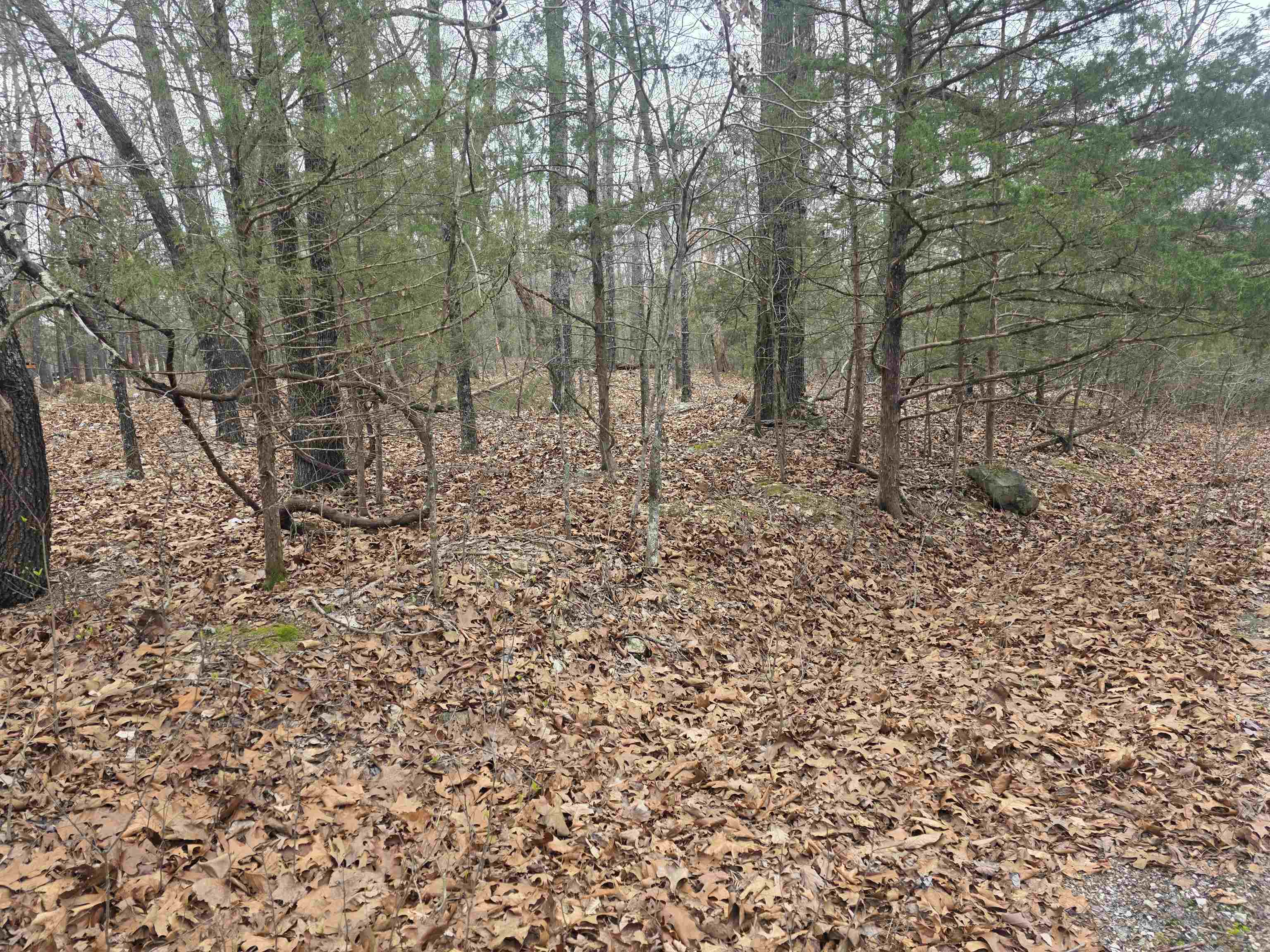 23 lots Cherokee Village & Ozark Acres  Cherokee Village, AR