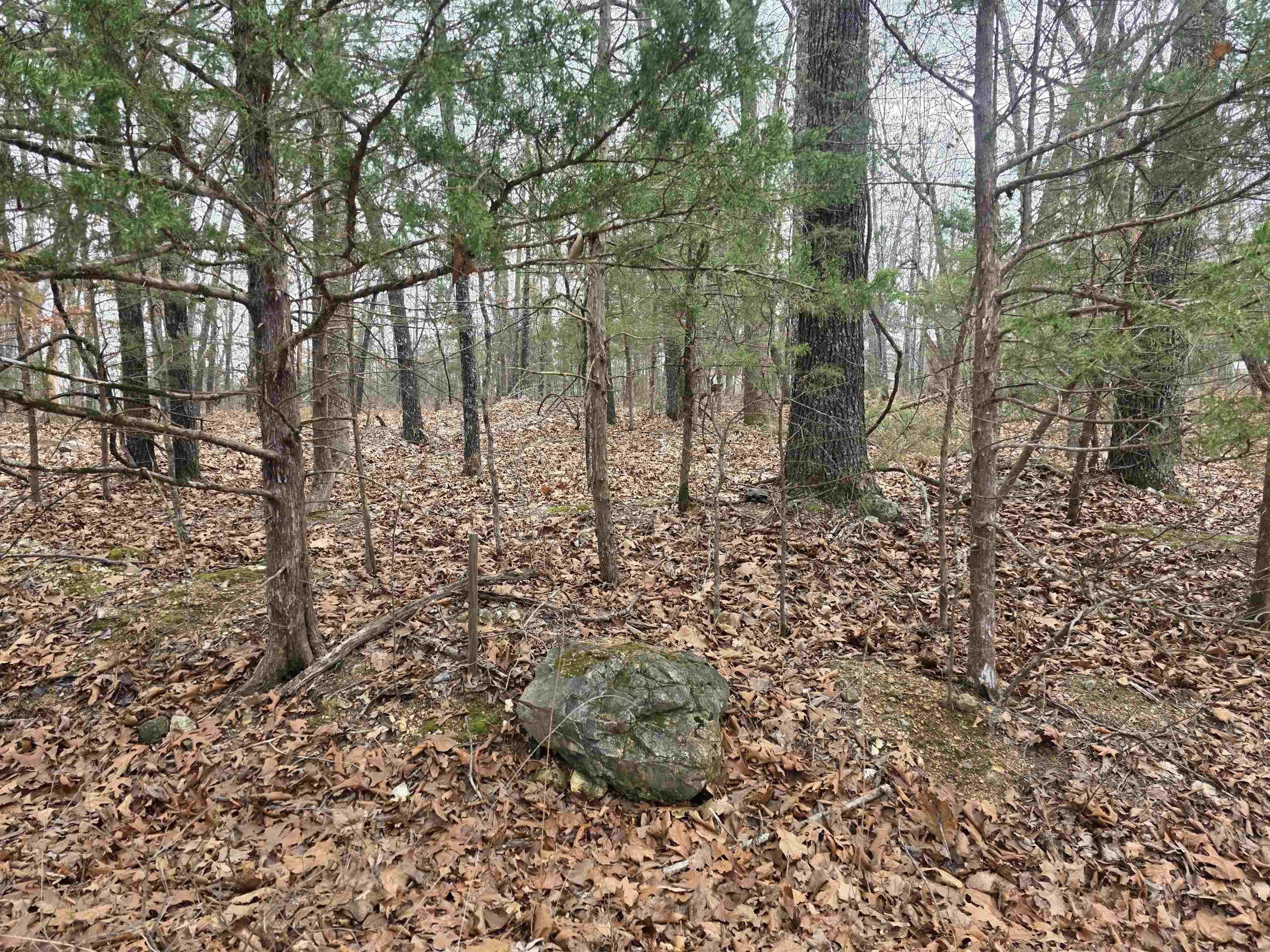23 lots Cherokee Village & Ozark Acres  Cherokee Village, AR