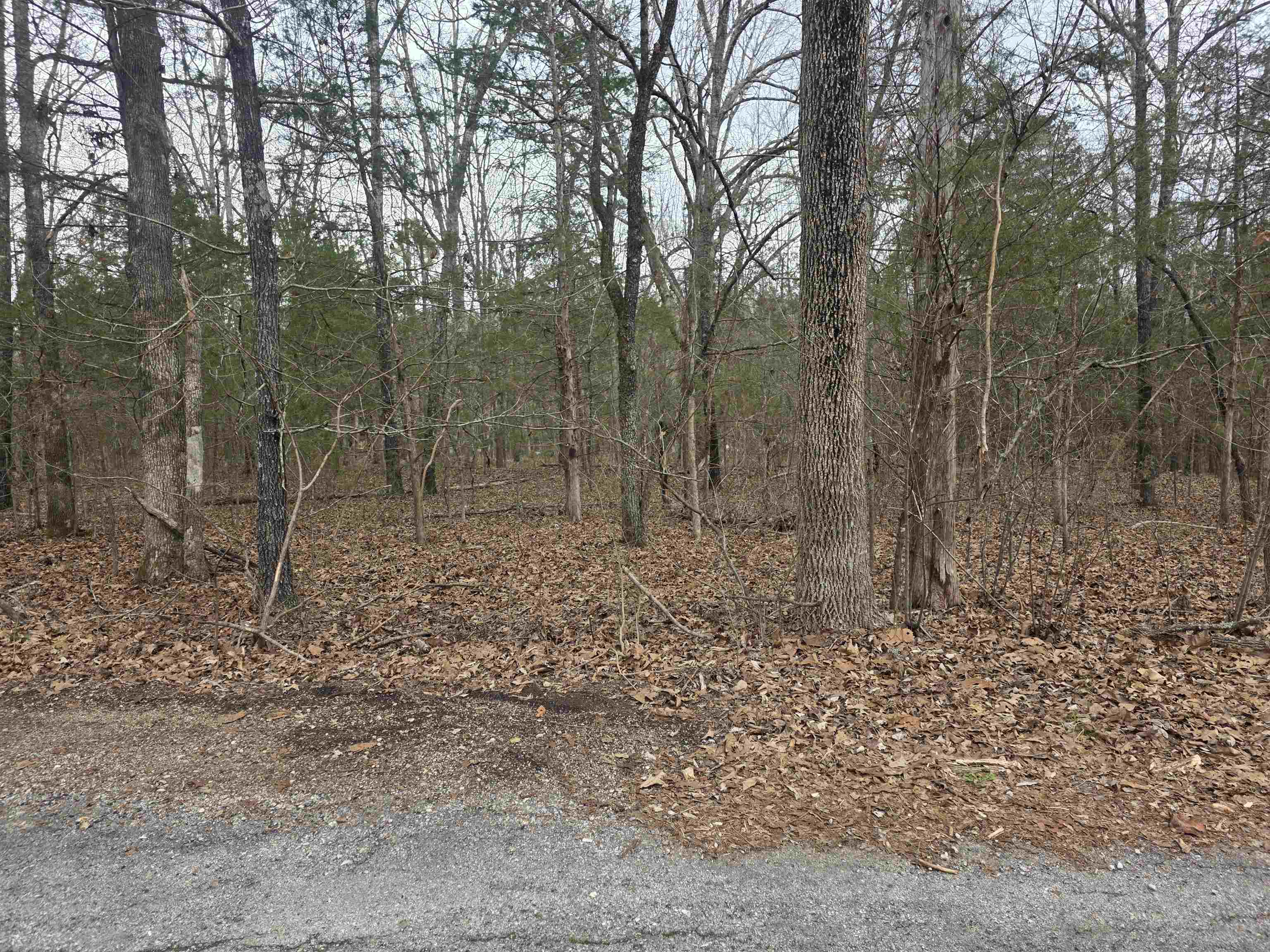 23 lots Cherokee Village & Ozark Acres  Cherokee Village, AR