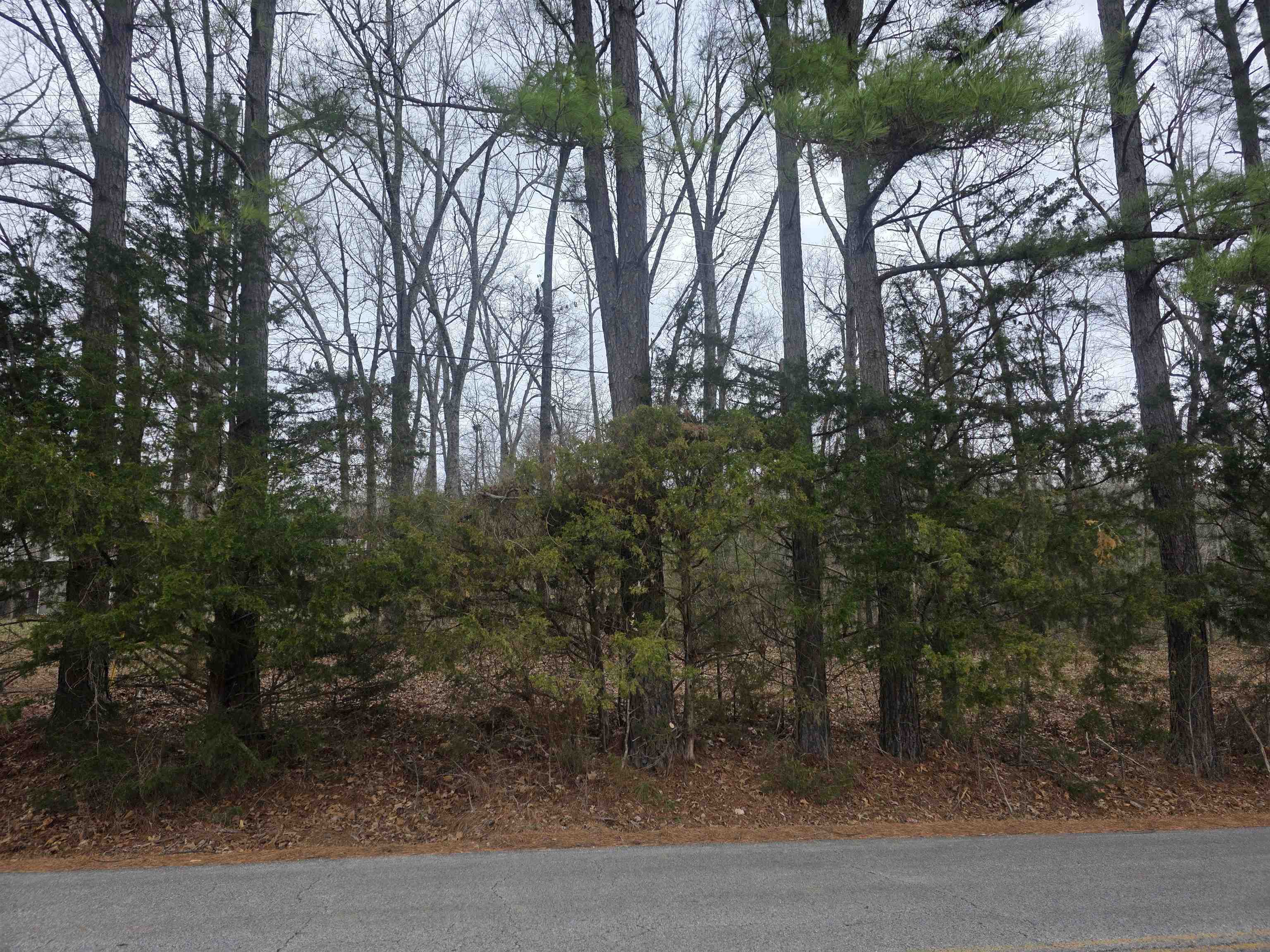 23 lots Cherokee Village & Ozark Acres  Cherokee Village, AR