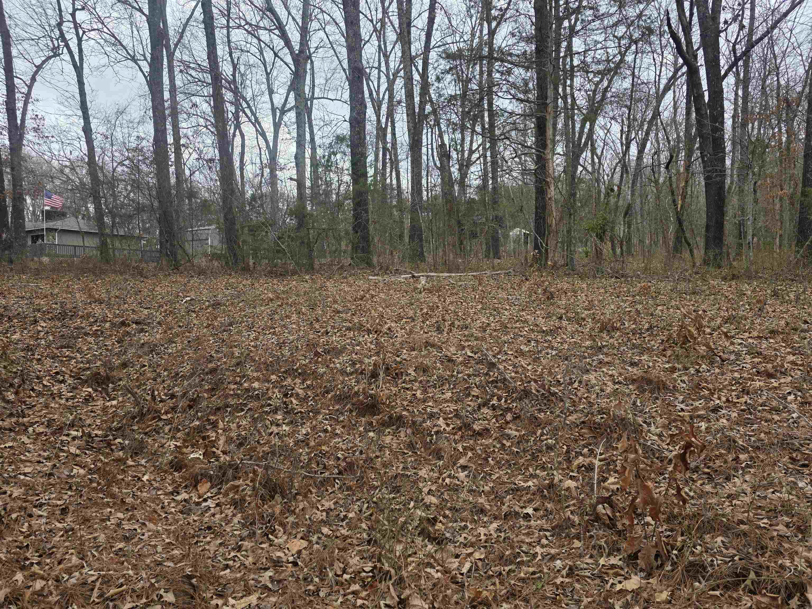 23 lots Cherokee Village & Ozark Acres  Cherokee Village, AR