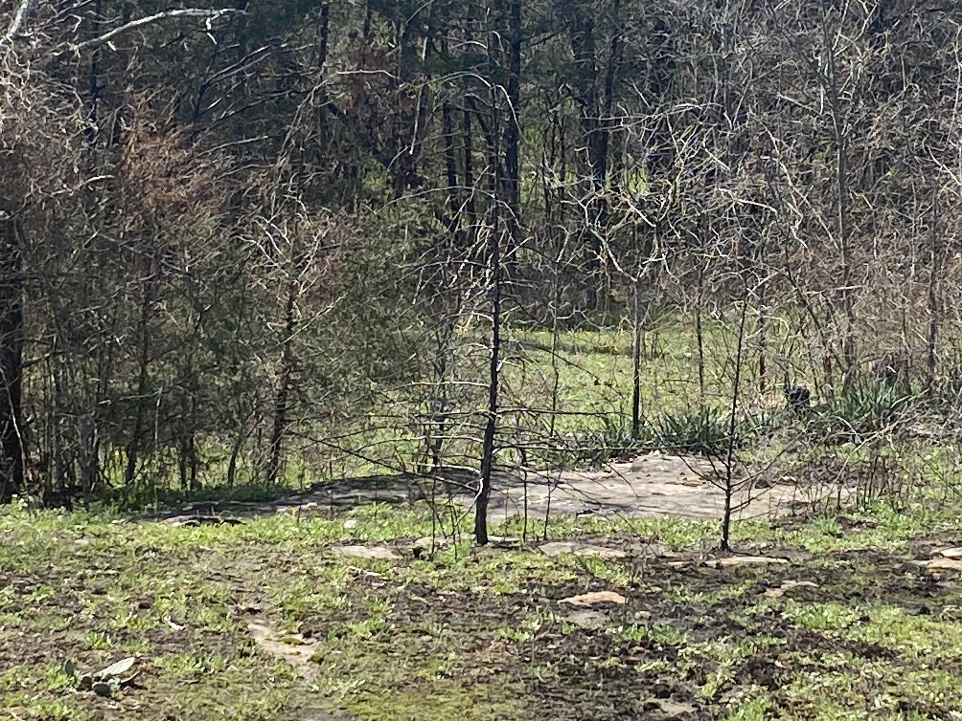 001 N Boswell Road  Calico Rock, AR