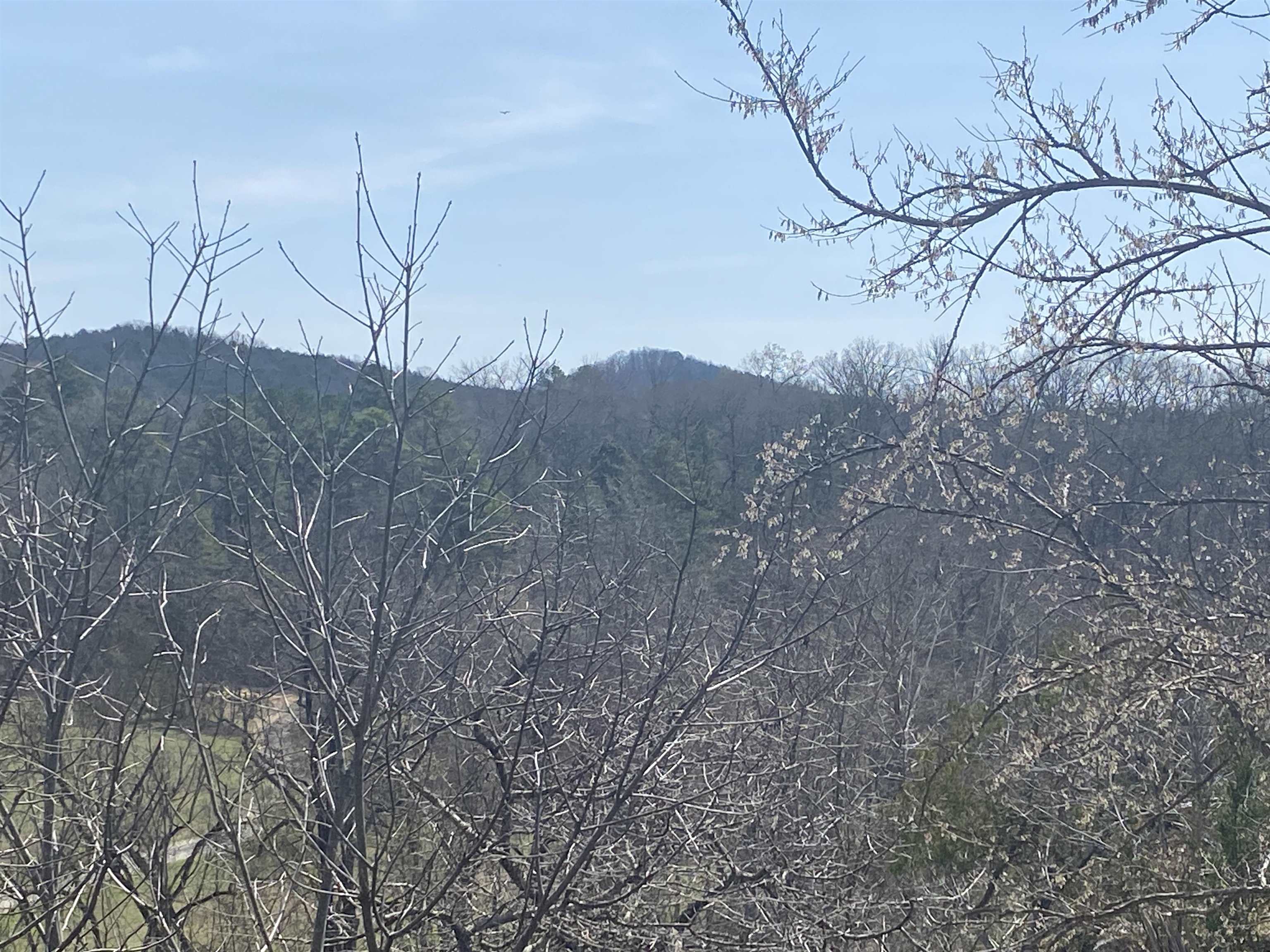 001 N Boswell Road  Calico Rock, AR