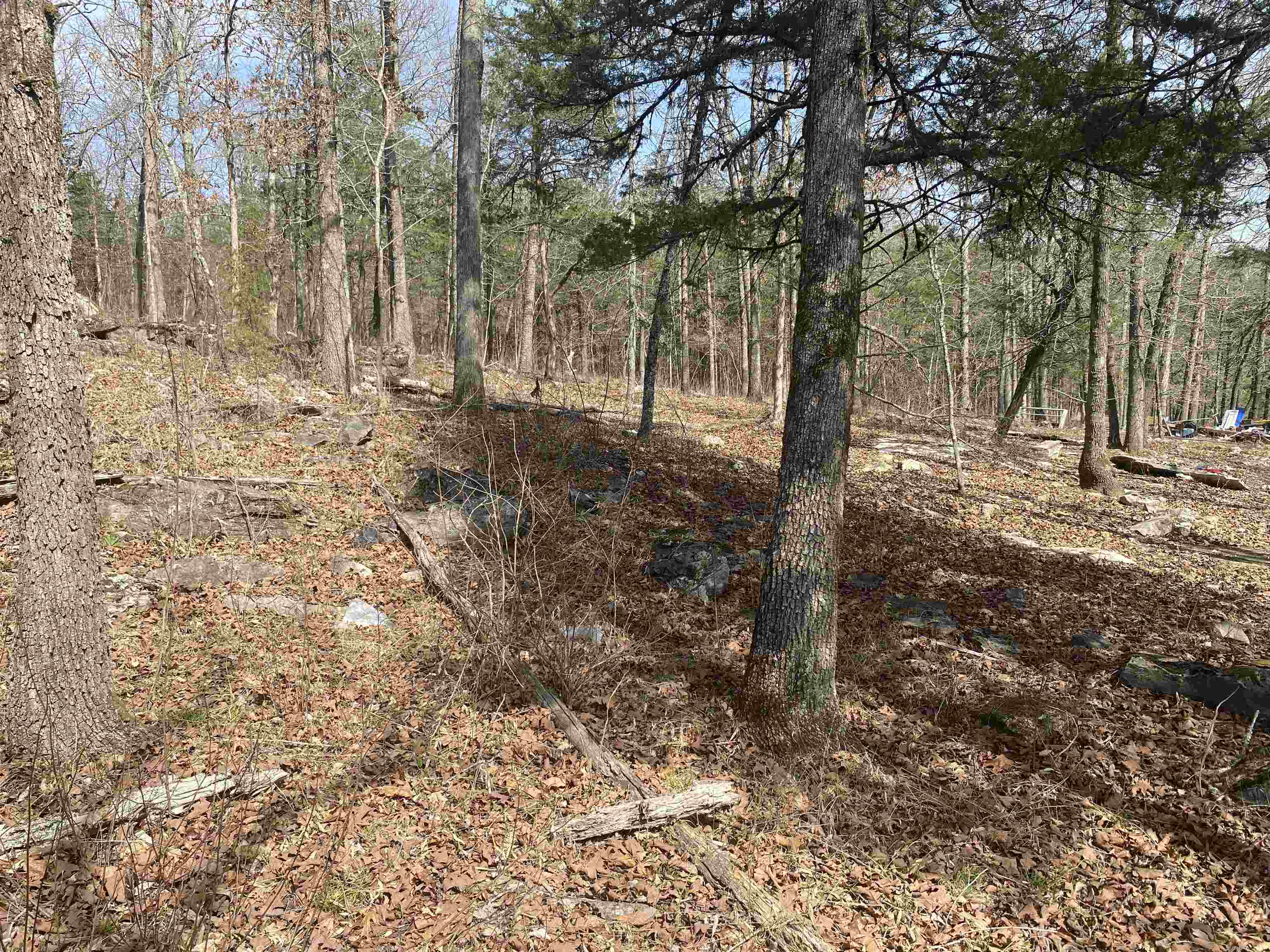 001 N Boswell Road  Calico Rock, AR