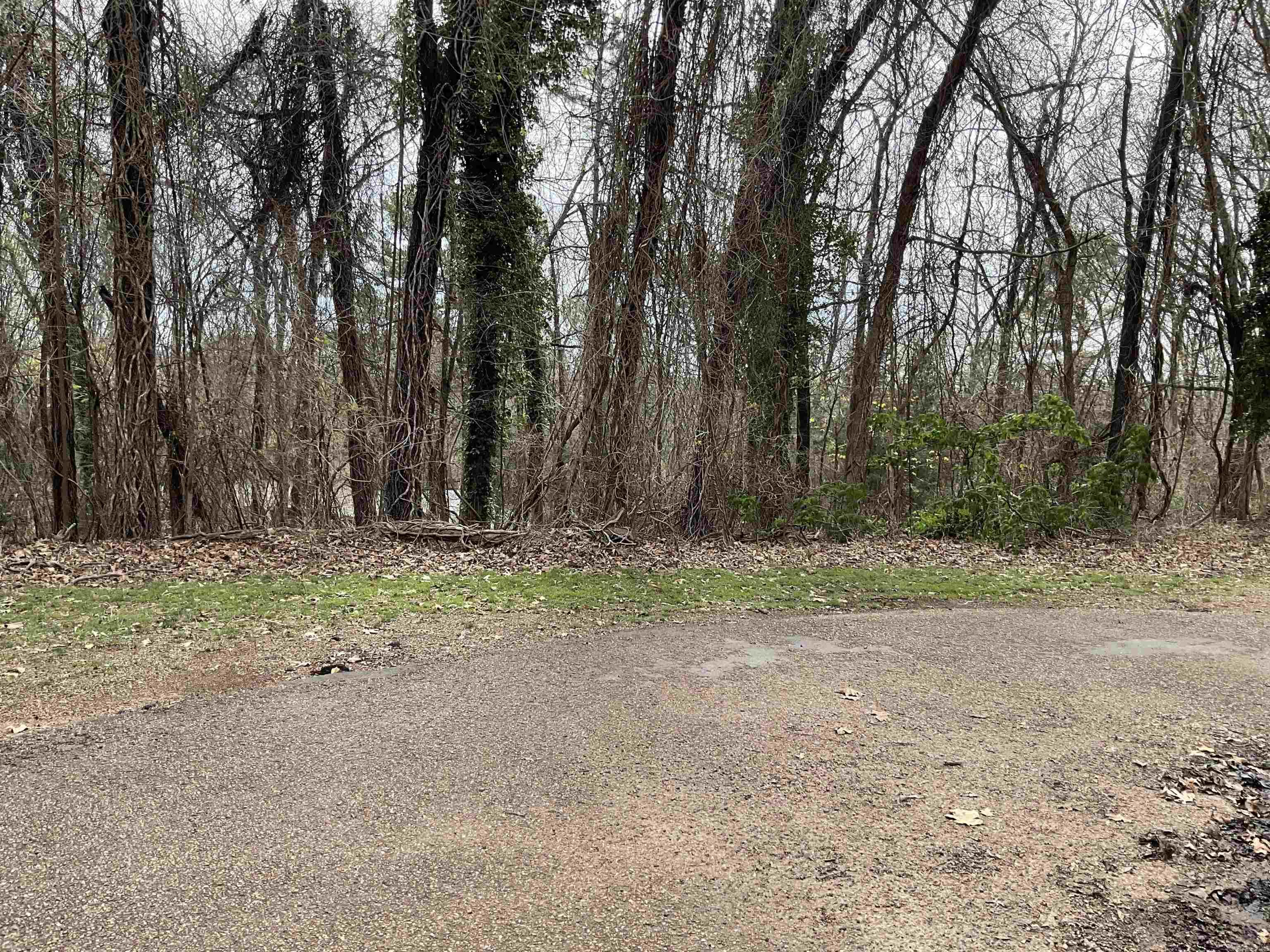 950 Rock Ledge  Heber Springs, AR