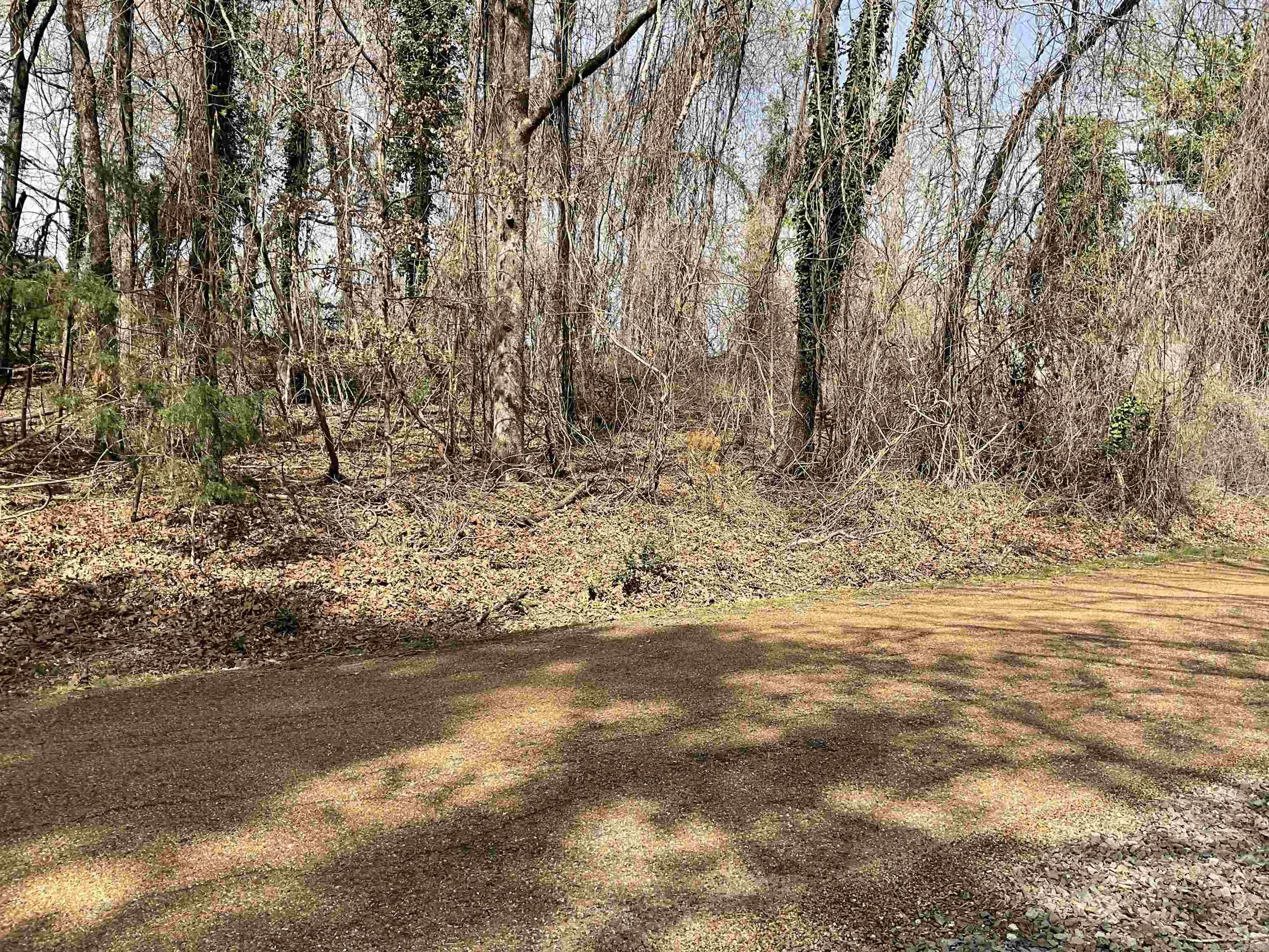 950 Rock Ledge  Heber Springs, AR