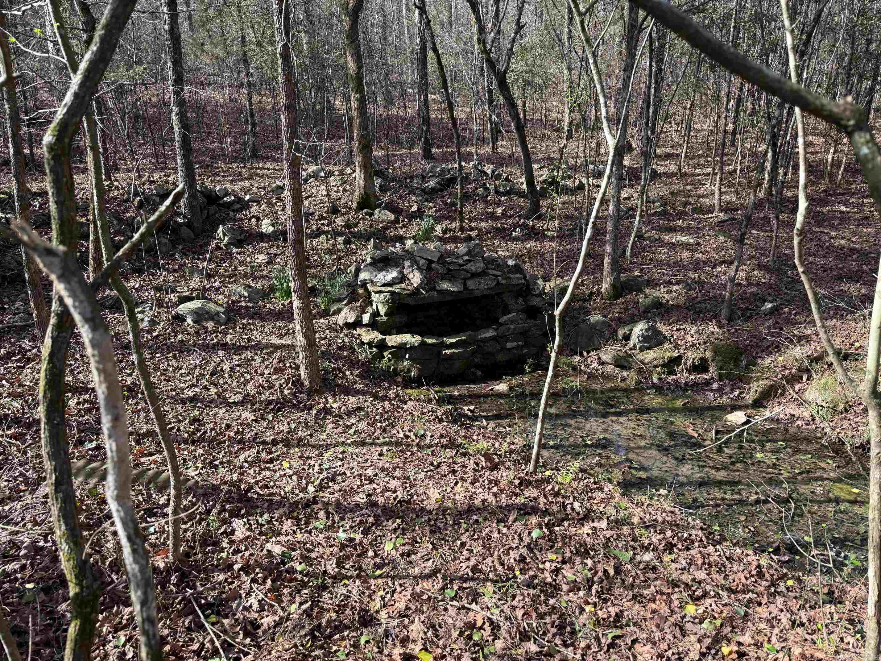 TBD Polk Road 13  Wickes, AR