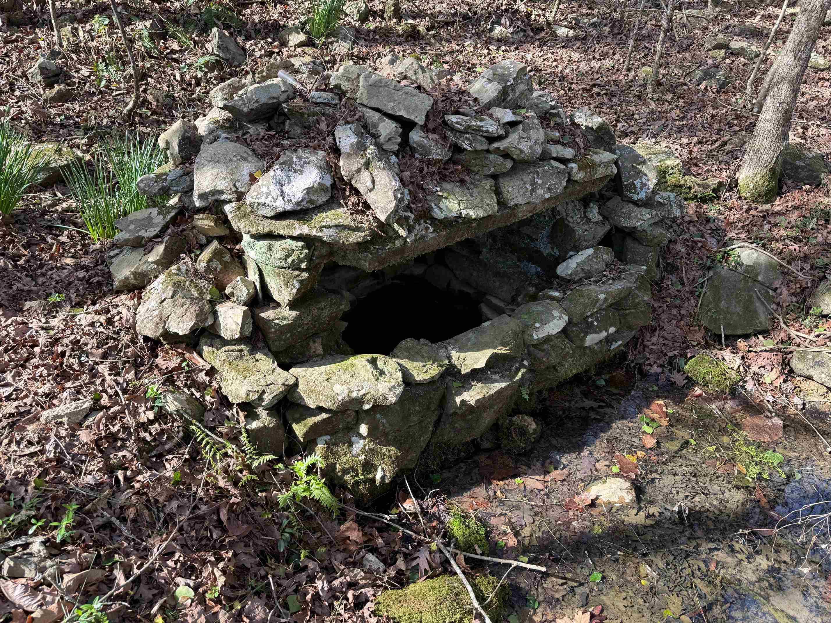 TBD Polk Road 13  Wickes, AR