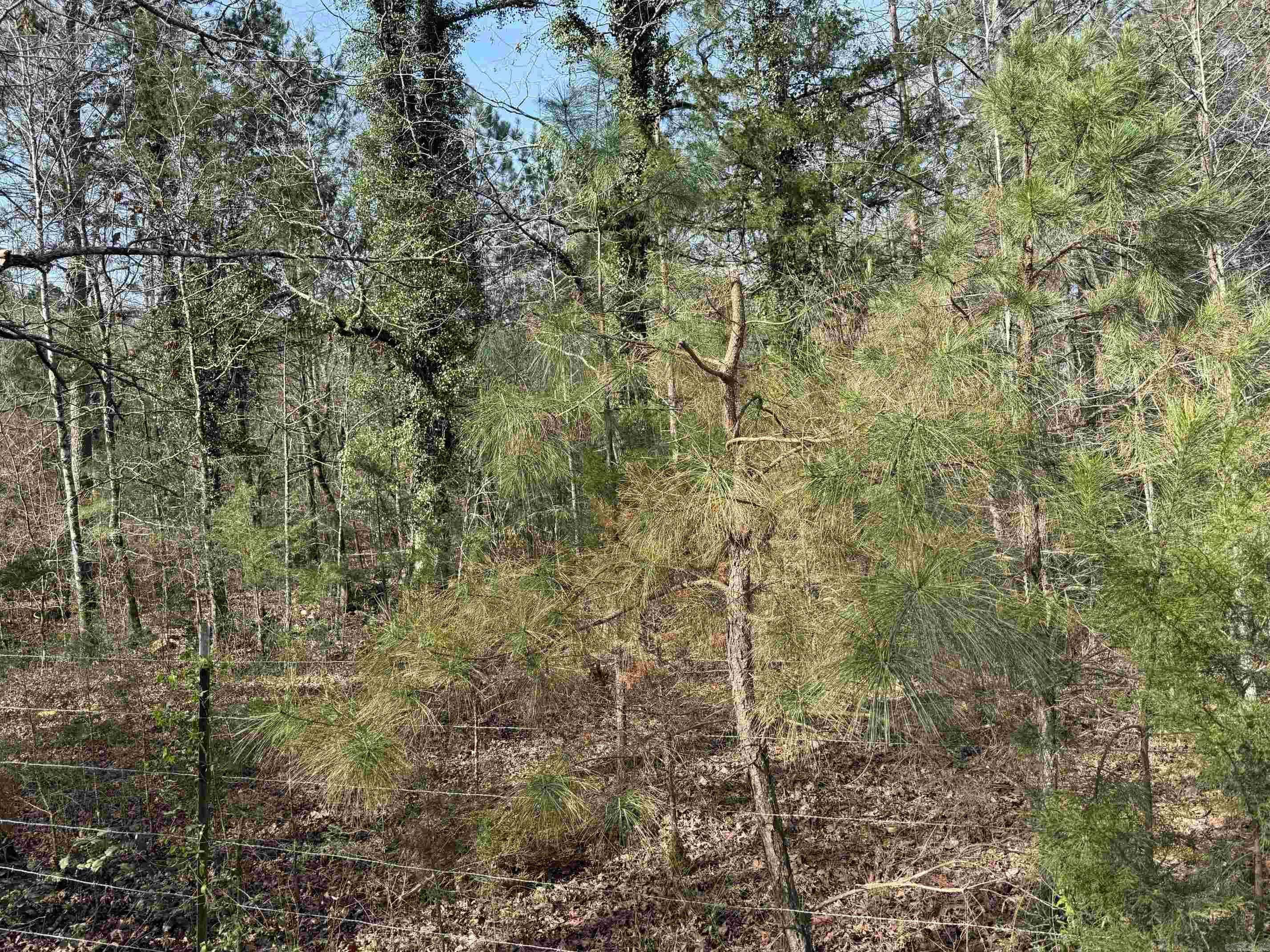 TBD Polk Road 13  Wickes, AR