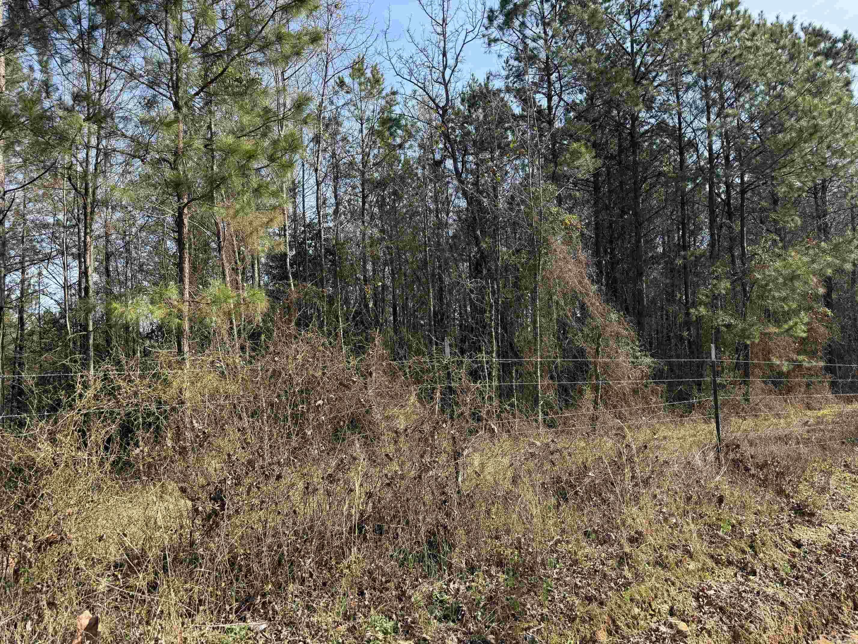 TBD Polk Road 13  Wickes, AR