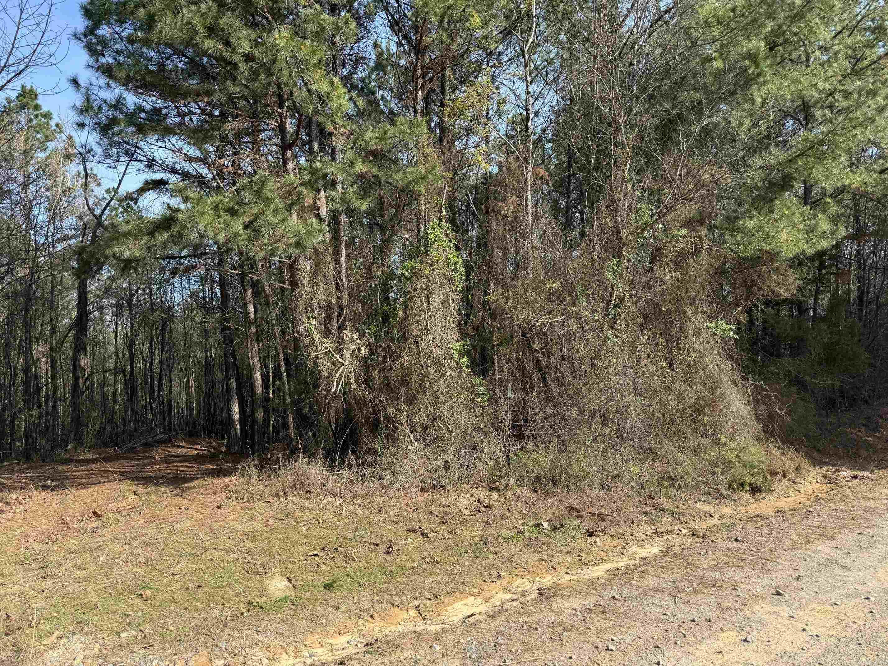 TBD Polk Road 13  Wickes, AR