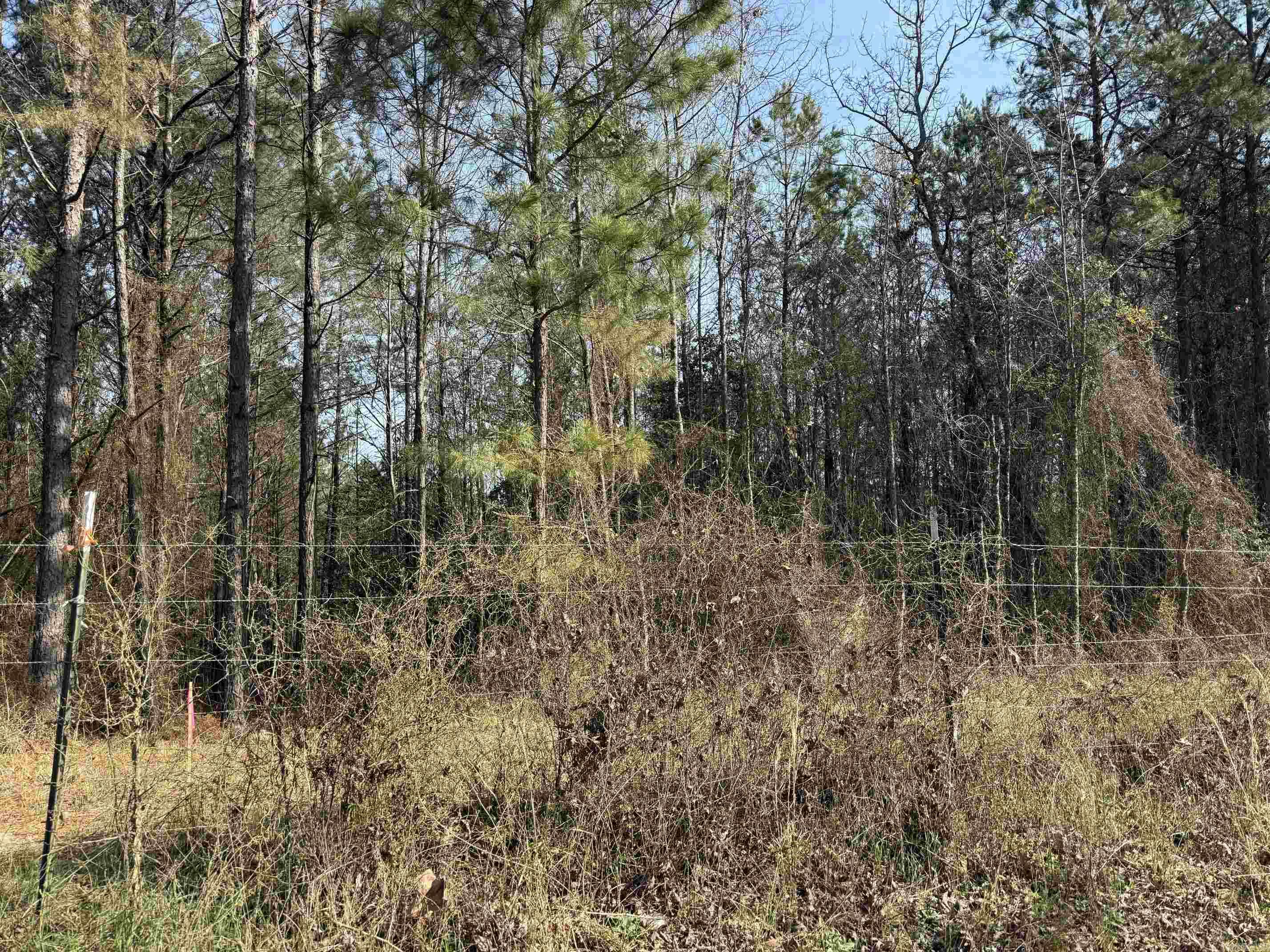 TBD Polk Road 13  Wickes, AR