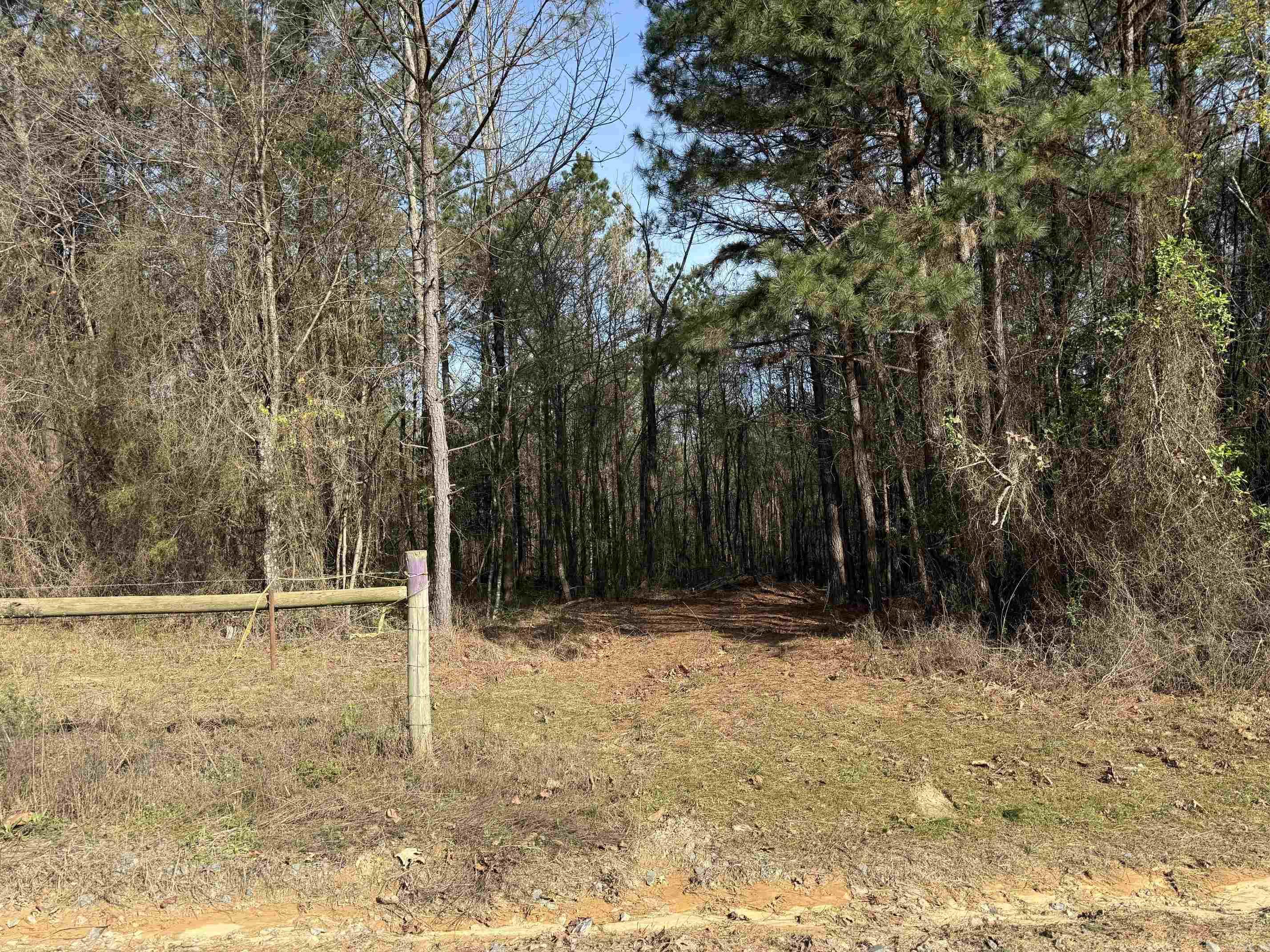 TBD Polk Road 13  Wickes, AR