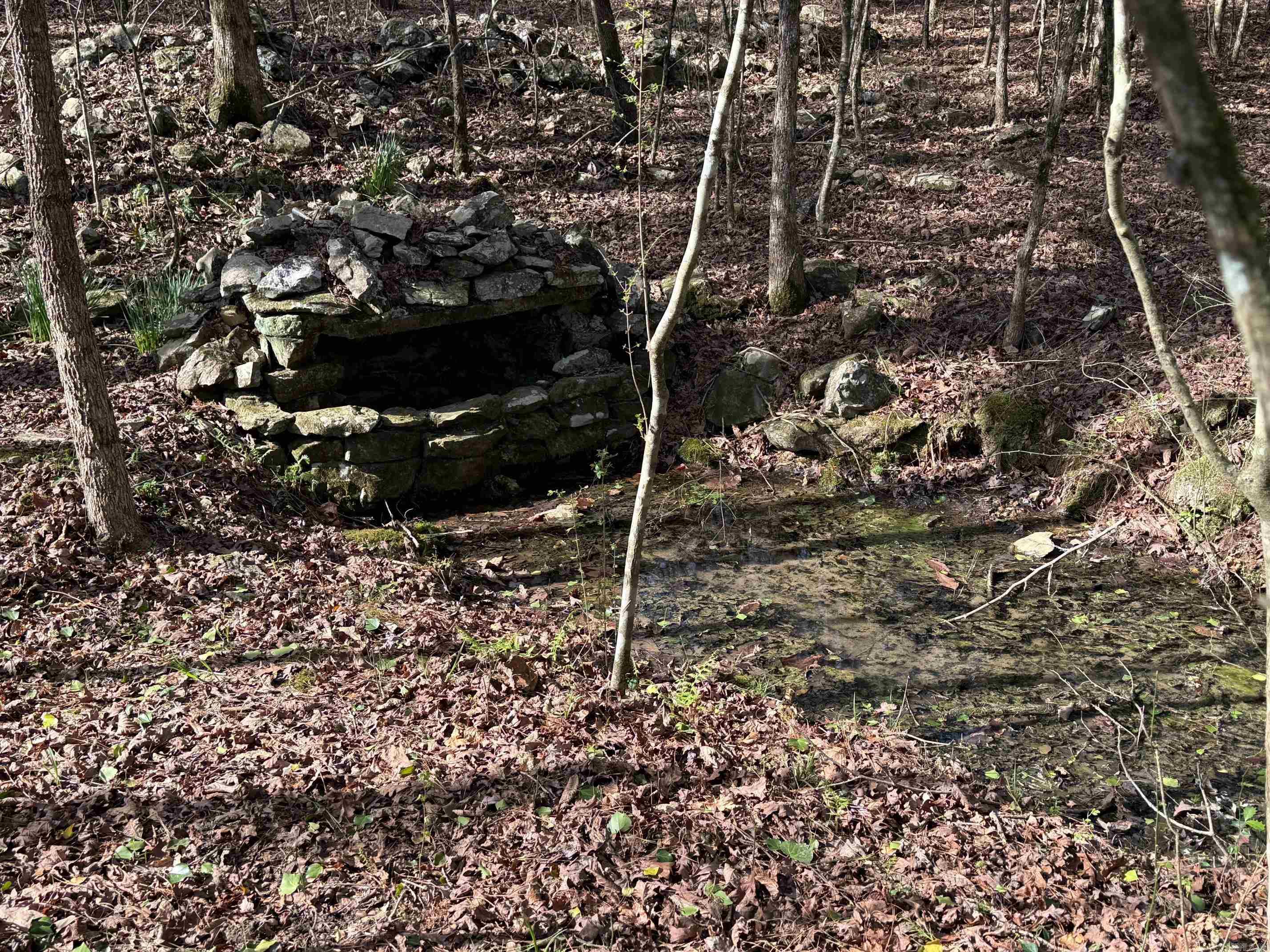 TBD Polk Road 13  Wickes, AR