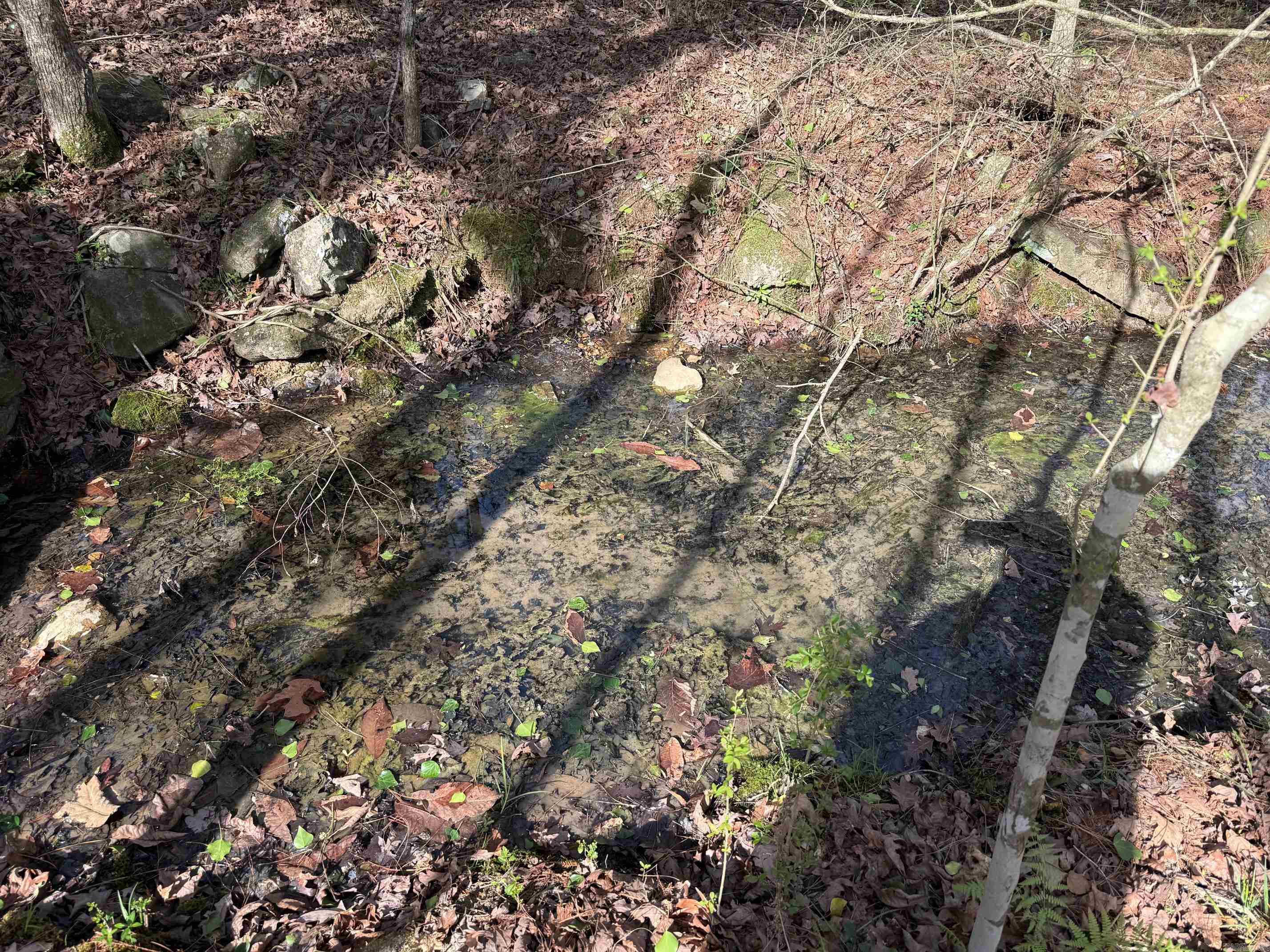 TBD Polk Road 13  Wickes, AR