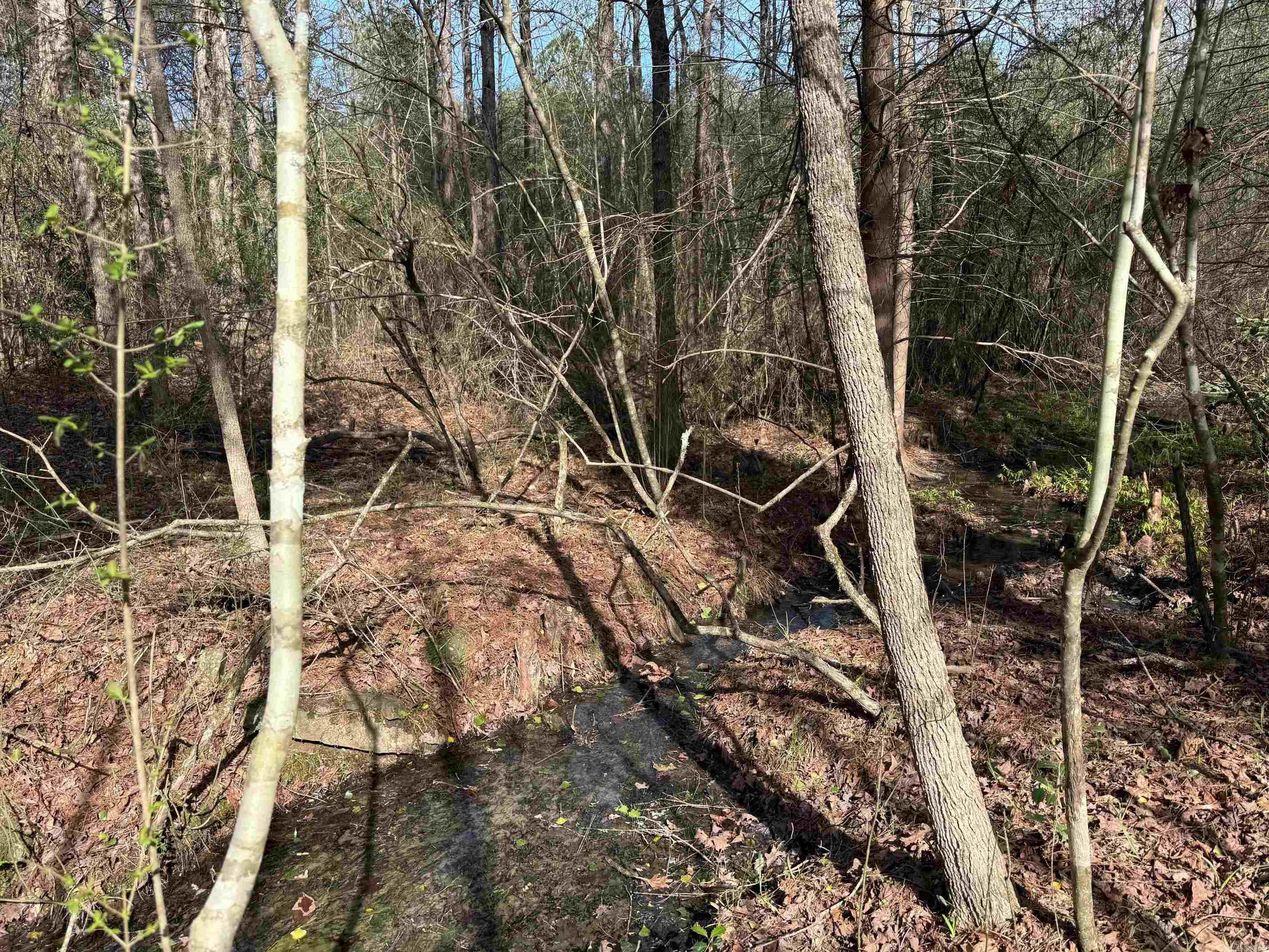 TBD Polk Road 13  Wickes, AR