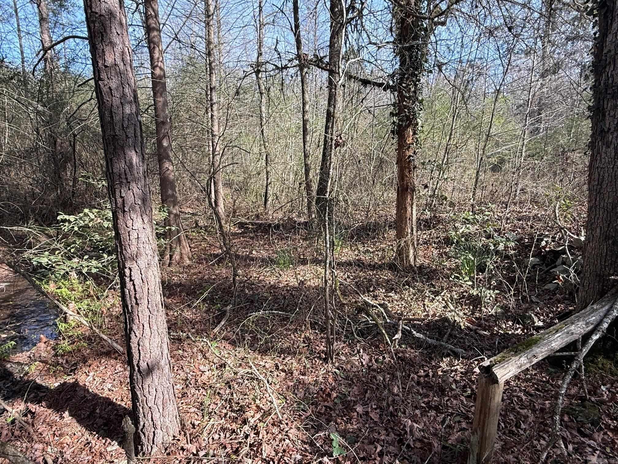 TBD Polk Road 13  Wickes, AR