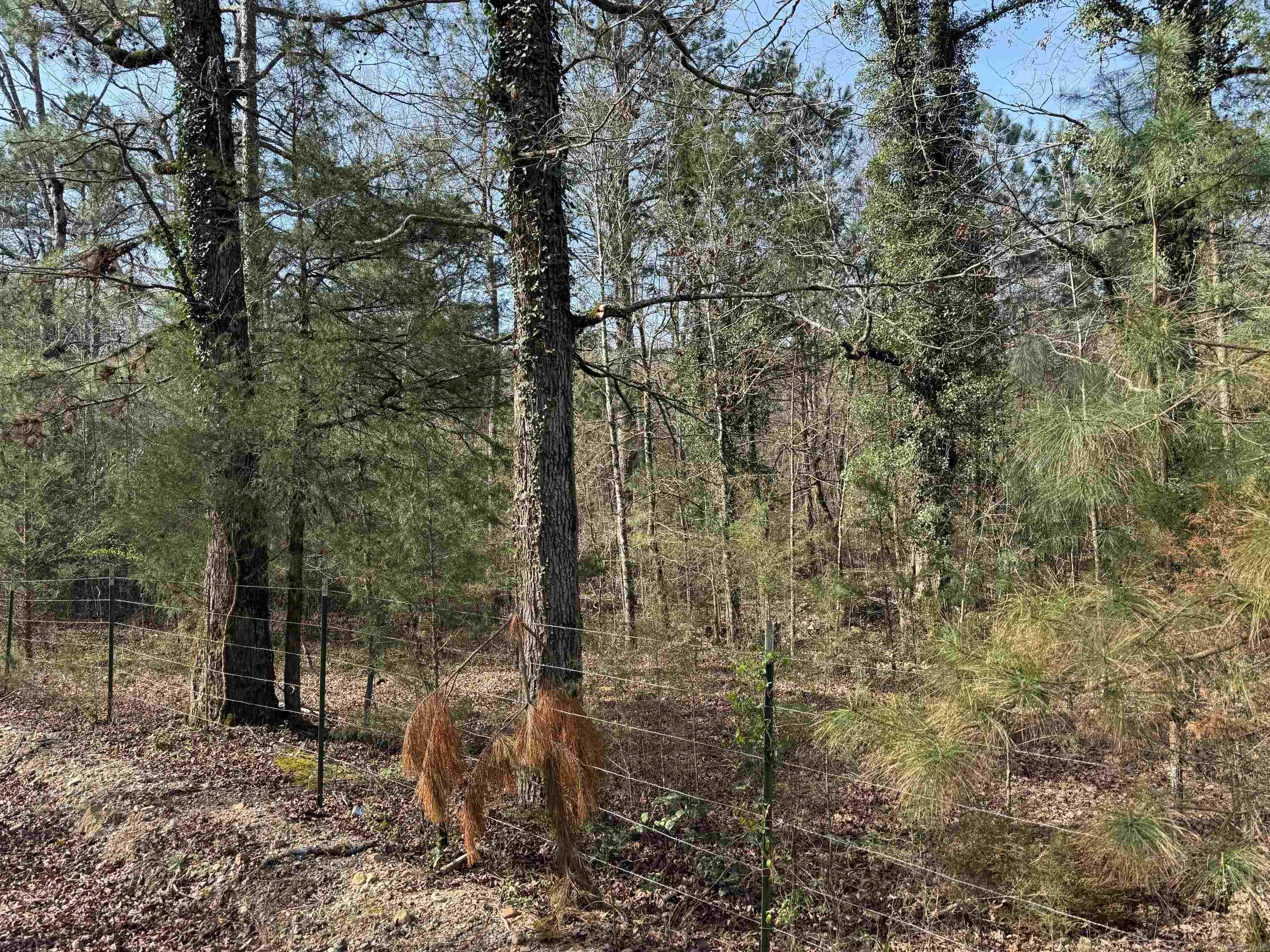 TBD Polk Road 13  Wickes, AR