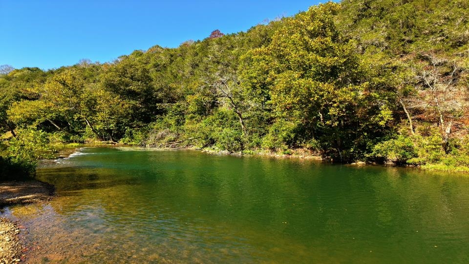 216 Bobo Drive Hardy, AR 72542