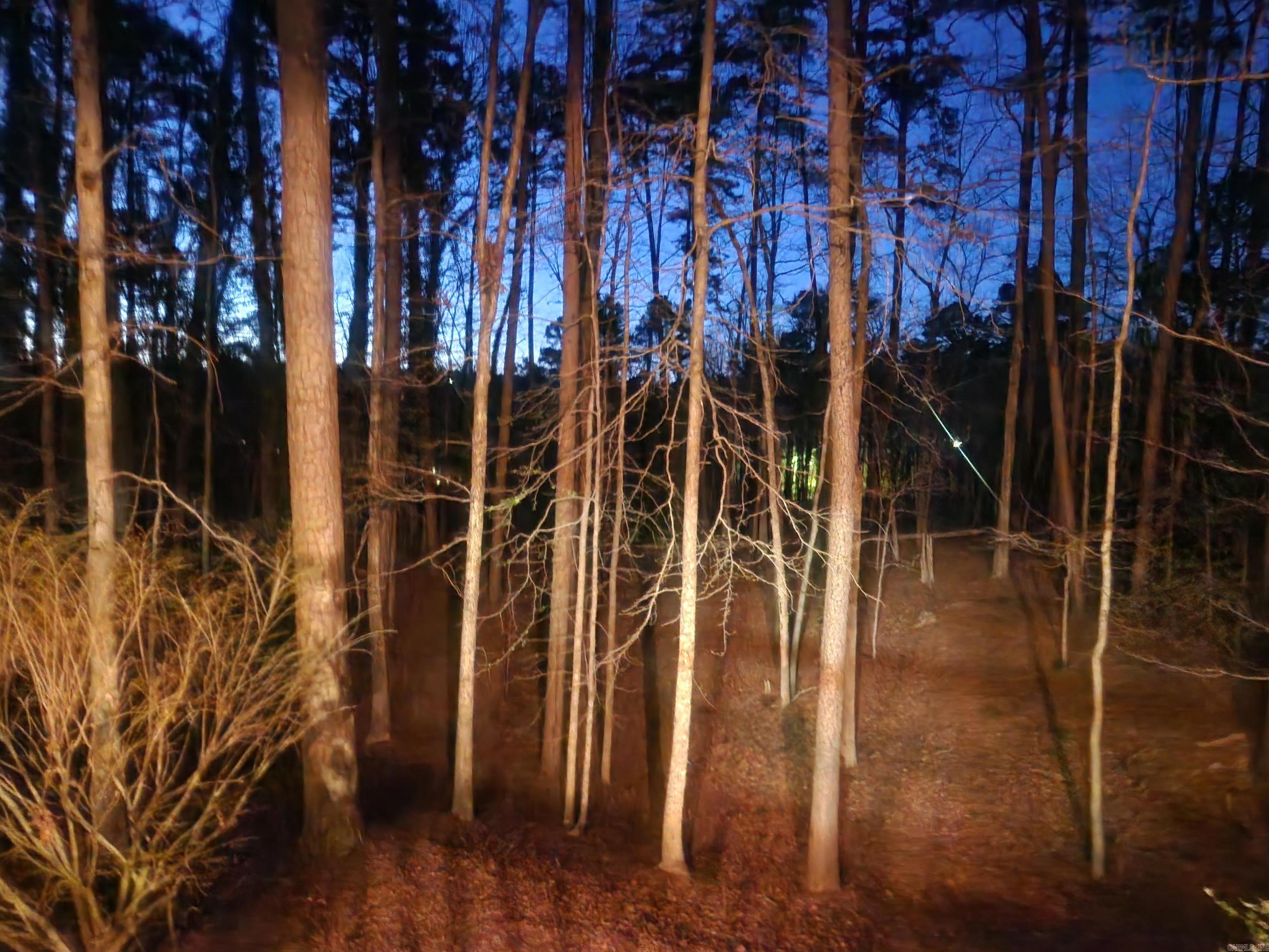 88 Arias  Hot Springs Village, AR