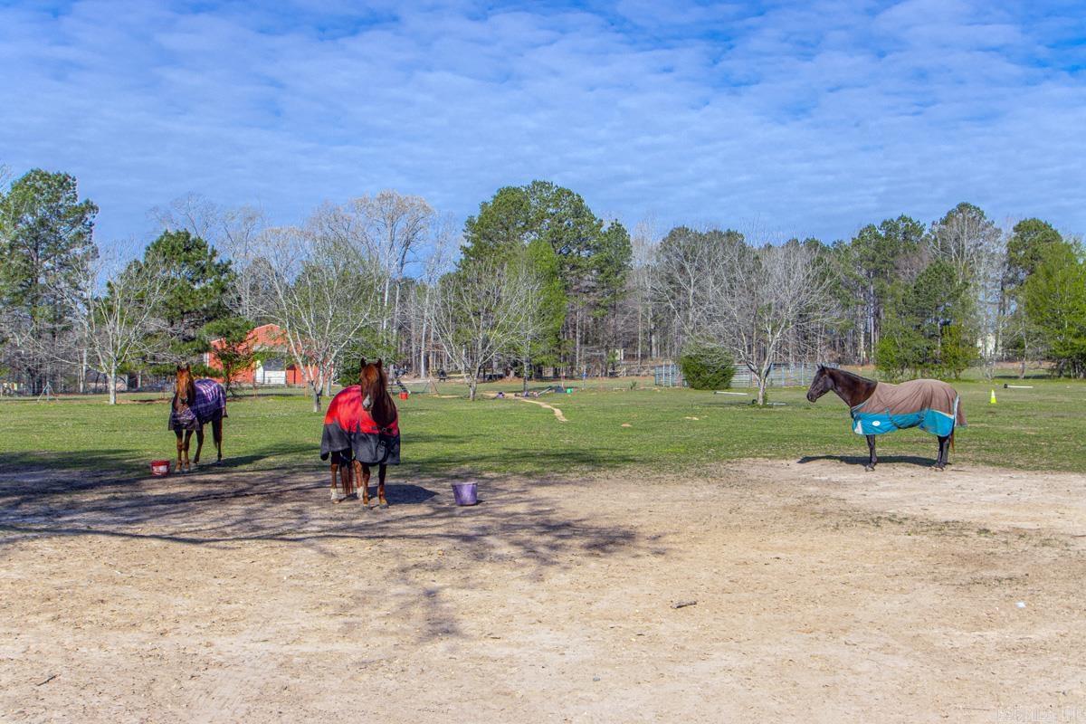 15500 Foxmoor Drive  Little Rock, AR