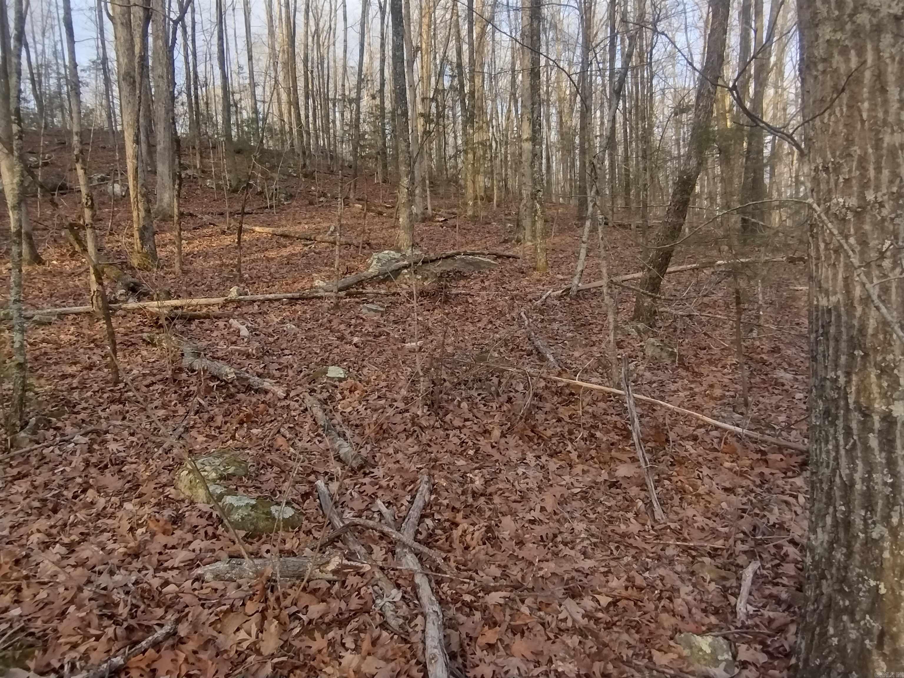 Tract 2 Alamo DR  Mountain View, AR