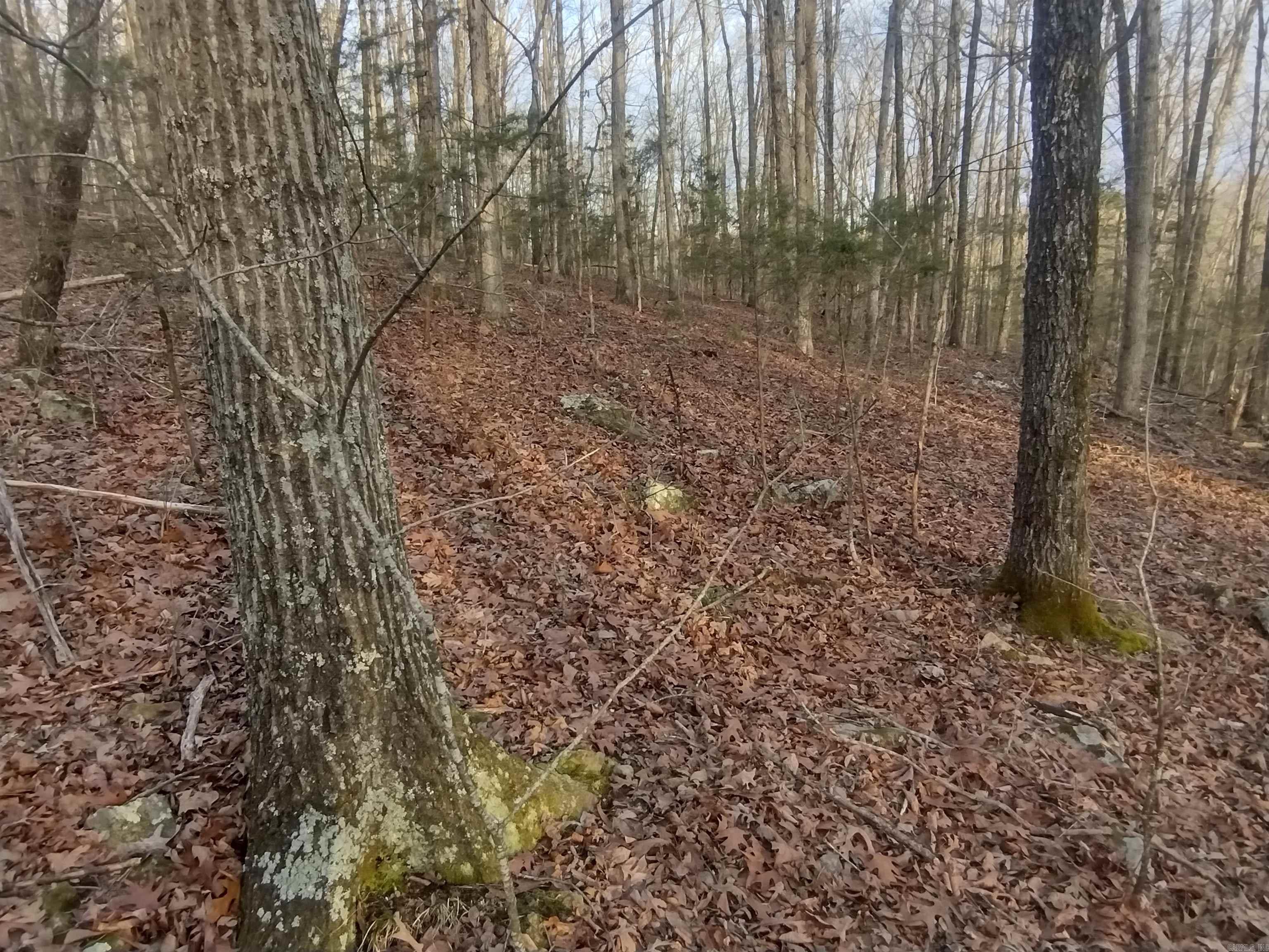 Tract 2 Alamo DR  Mountain View, AR