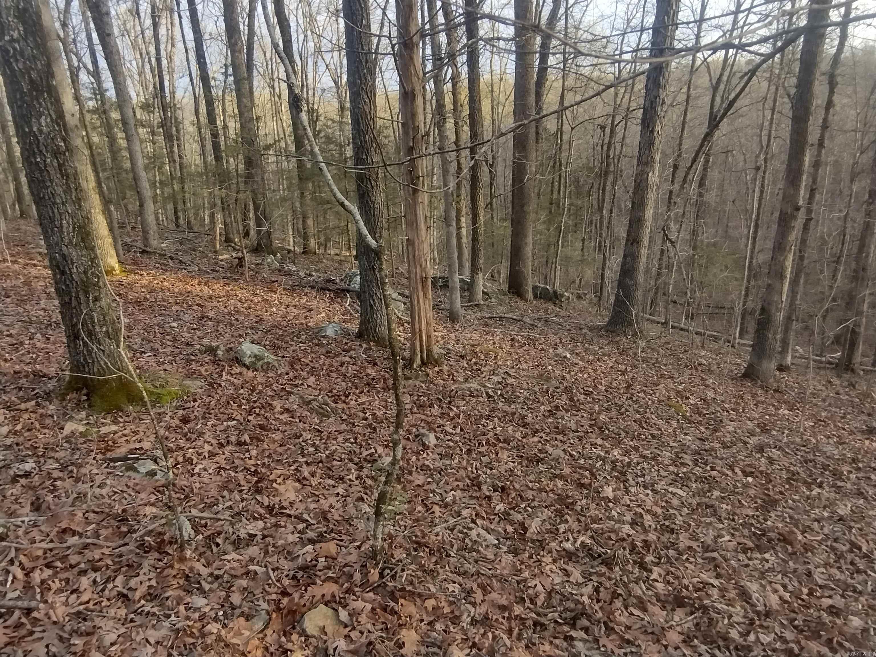 Tract 2 Alamo DR  Mountain View, AR