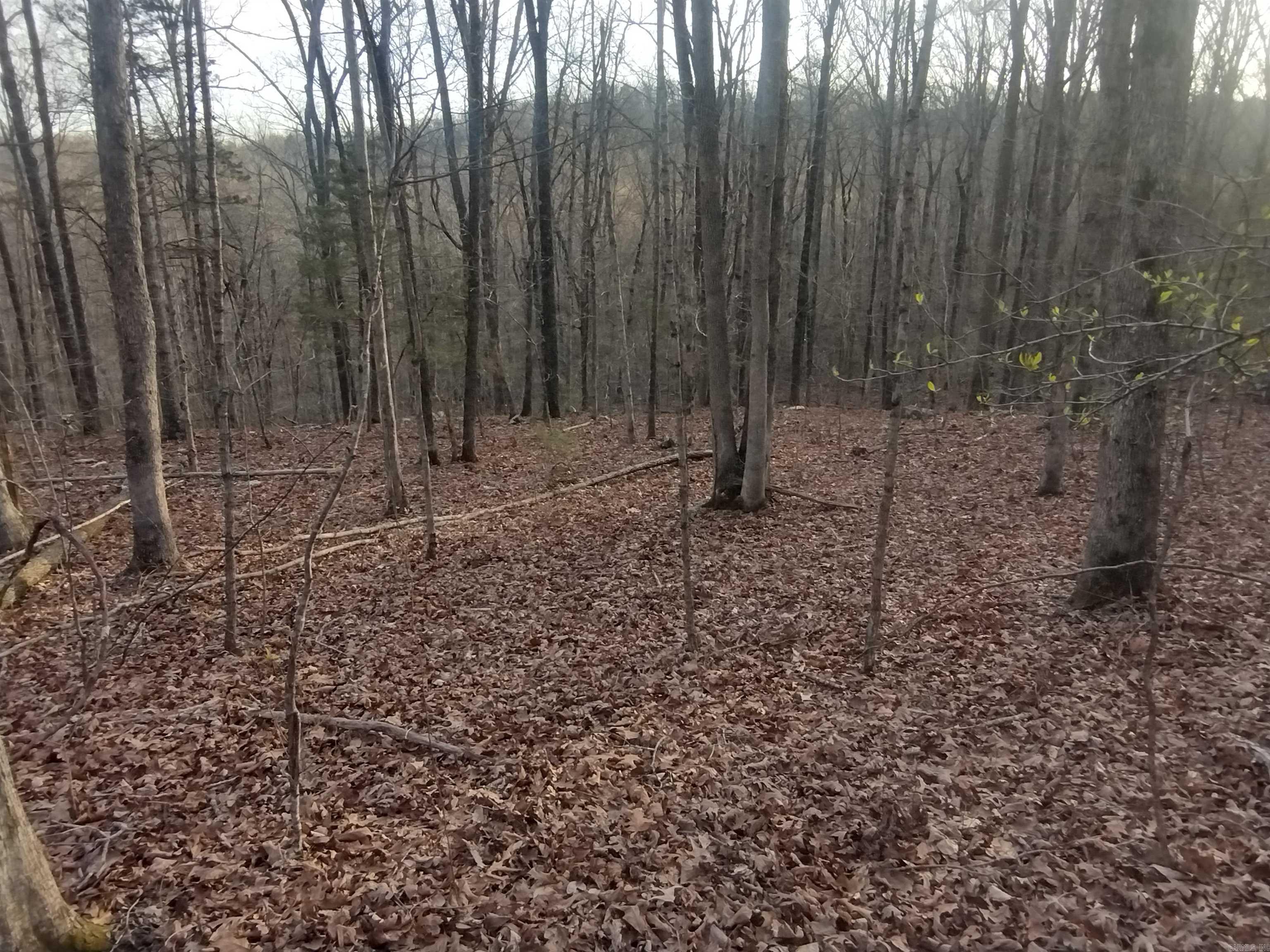 Tract 2 Alamo DR  Mountain View, AR