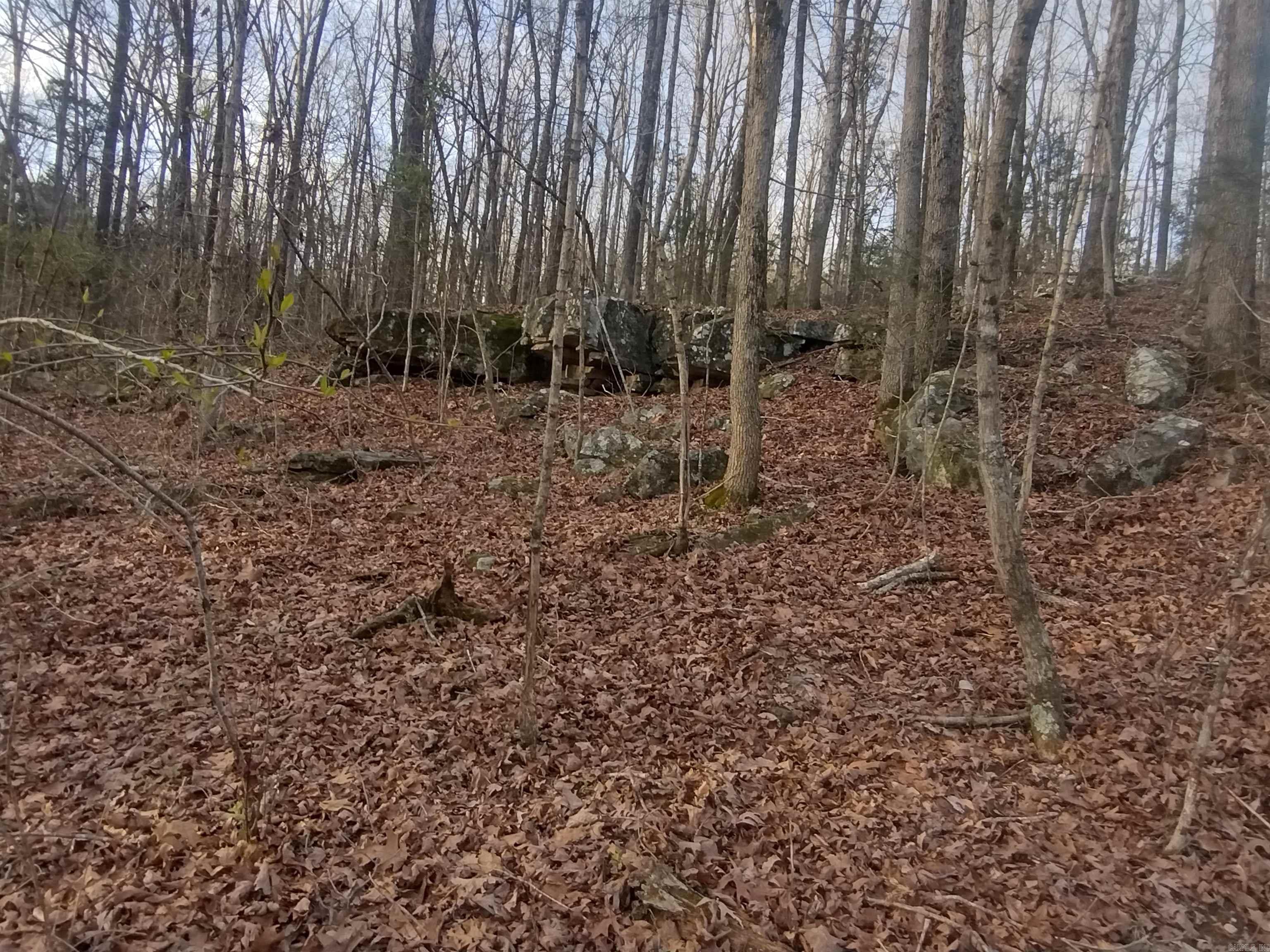 Tract 2 Alamo DR  Mountain View, AR