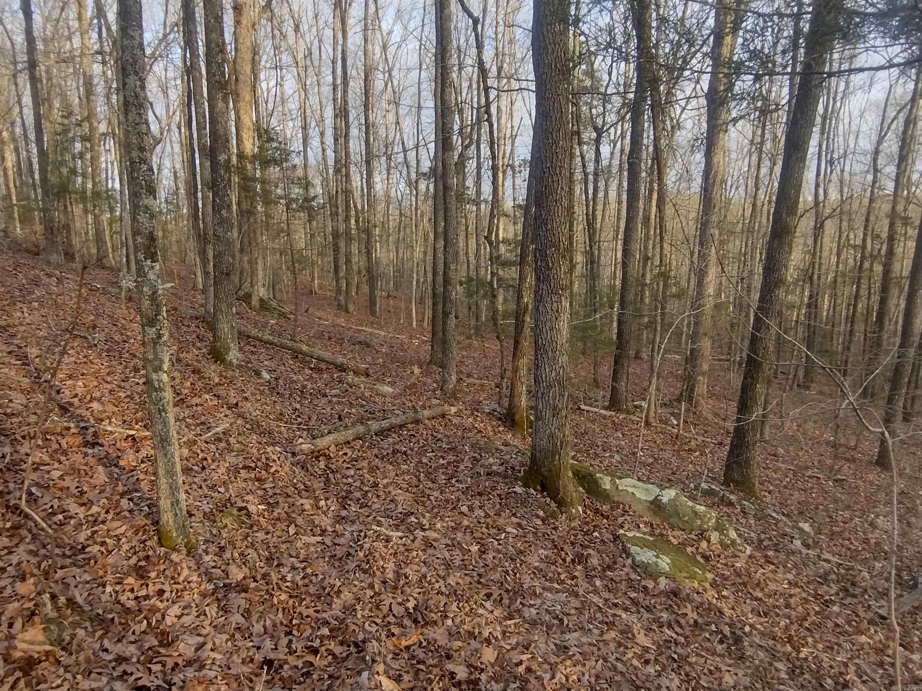 Tract 2 Alamo DR  Mountain View, AR