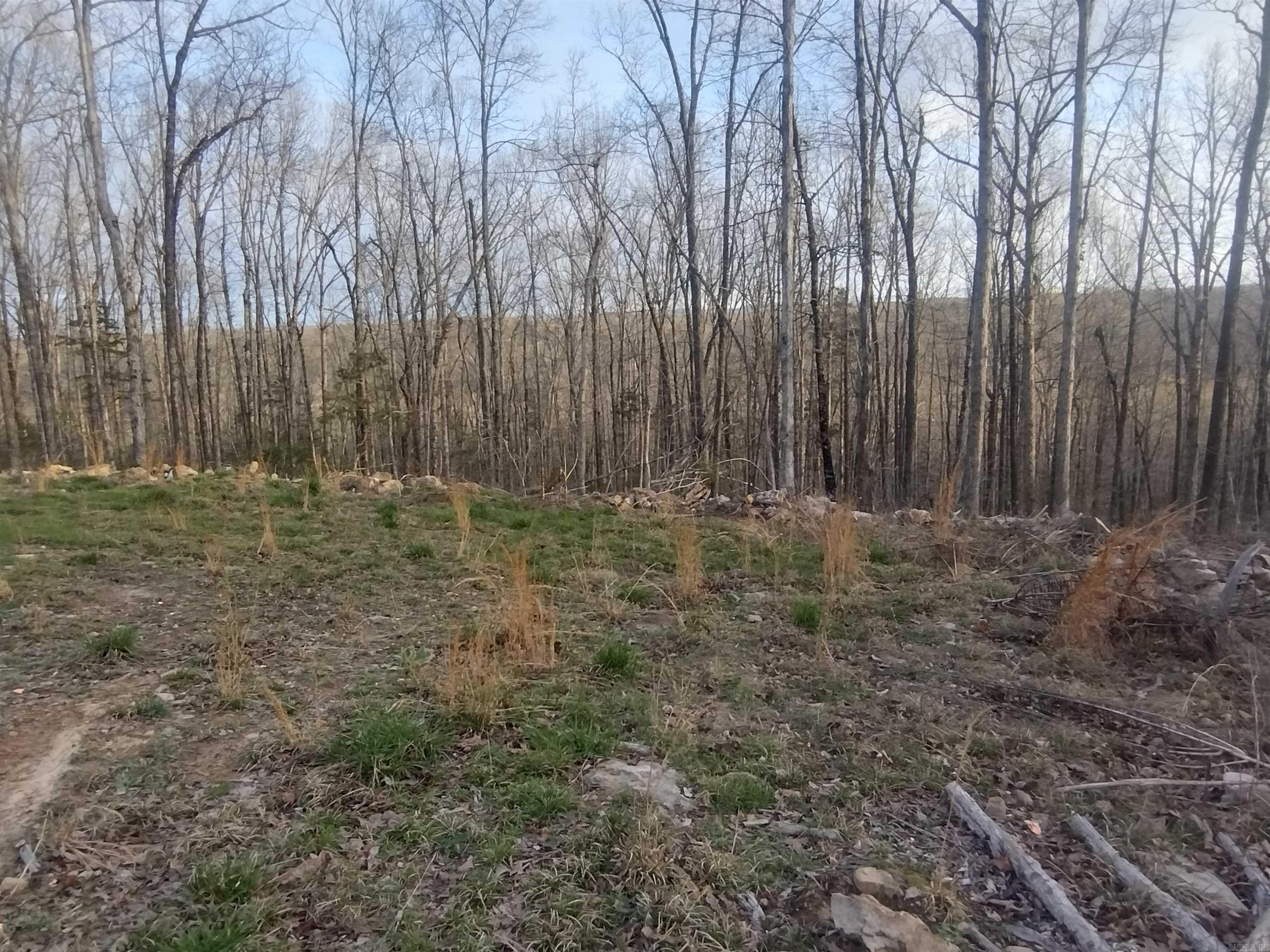 Tract 2 Alamo DR  Mountain View, AR