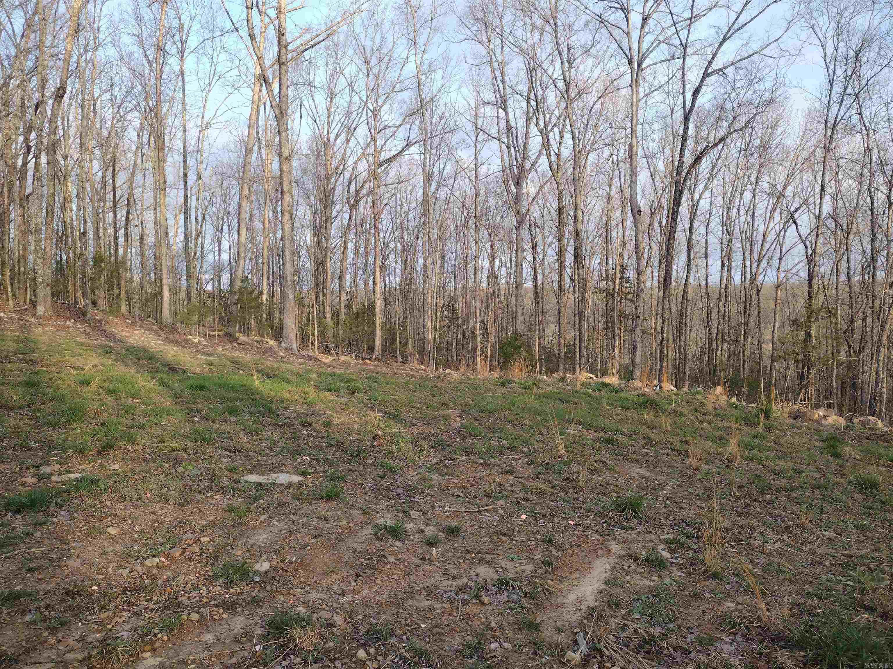 Tract 2 Alamo DR  Mountain View, AR