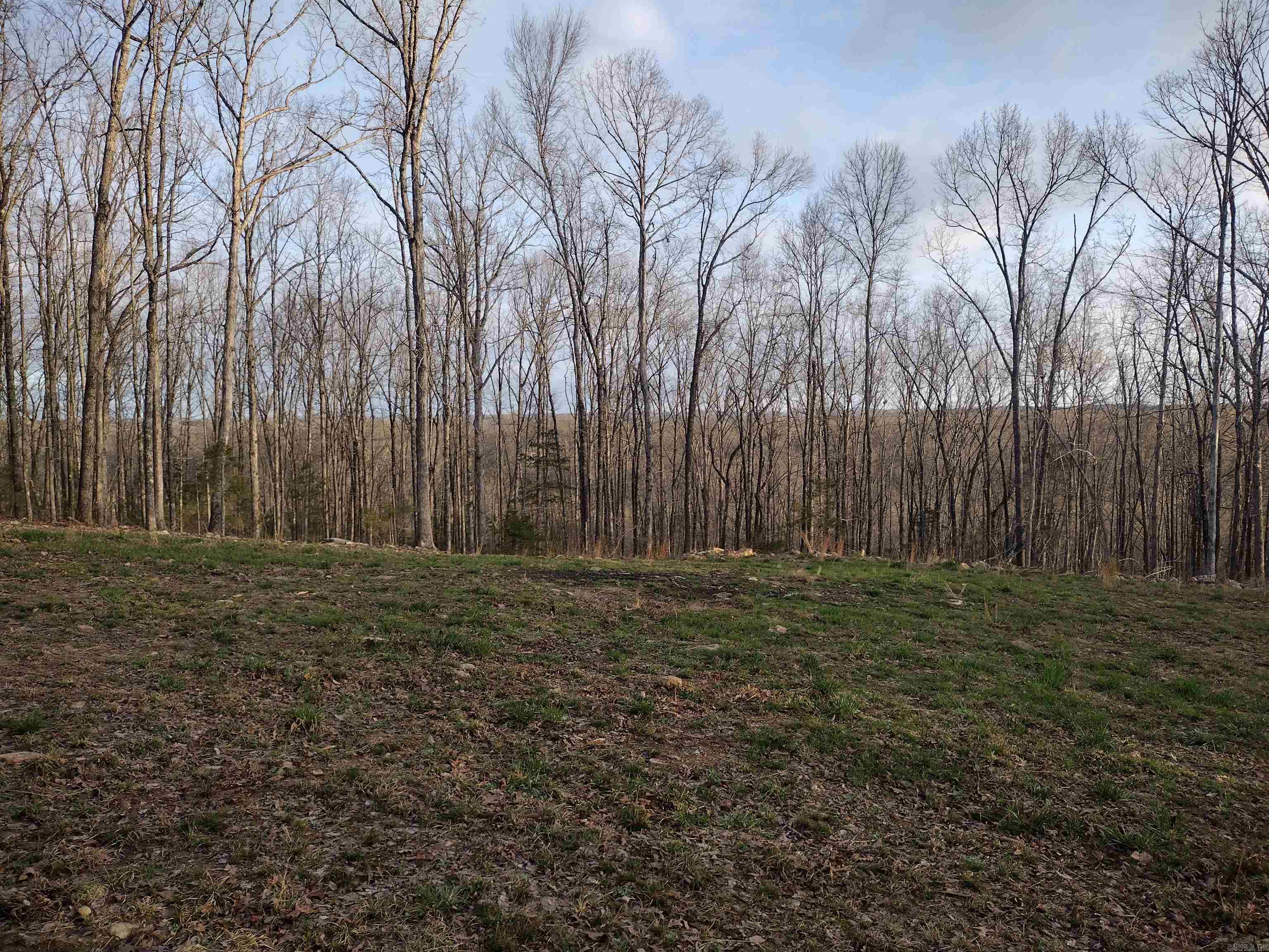 Tract 2 Alamo DR  Mountain View, AR