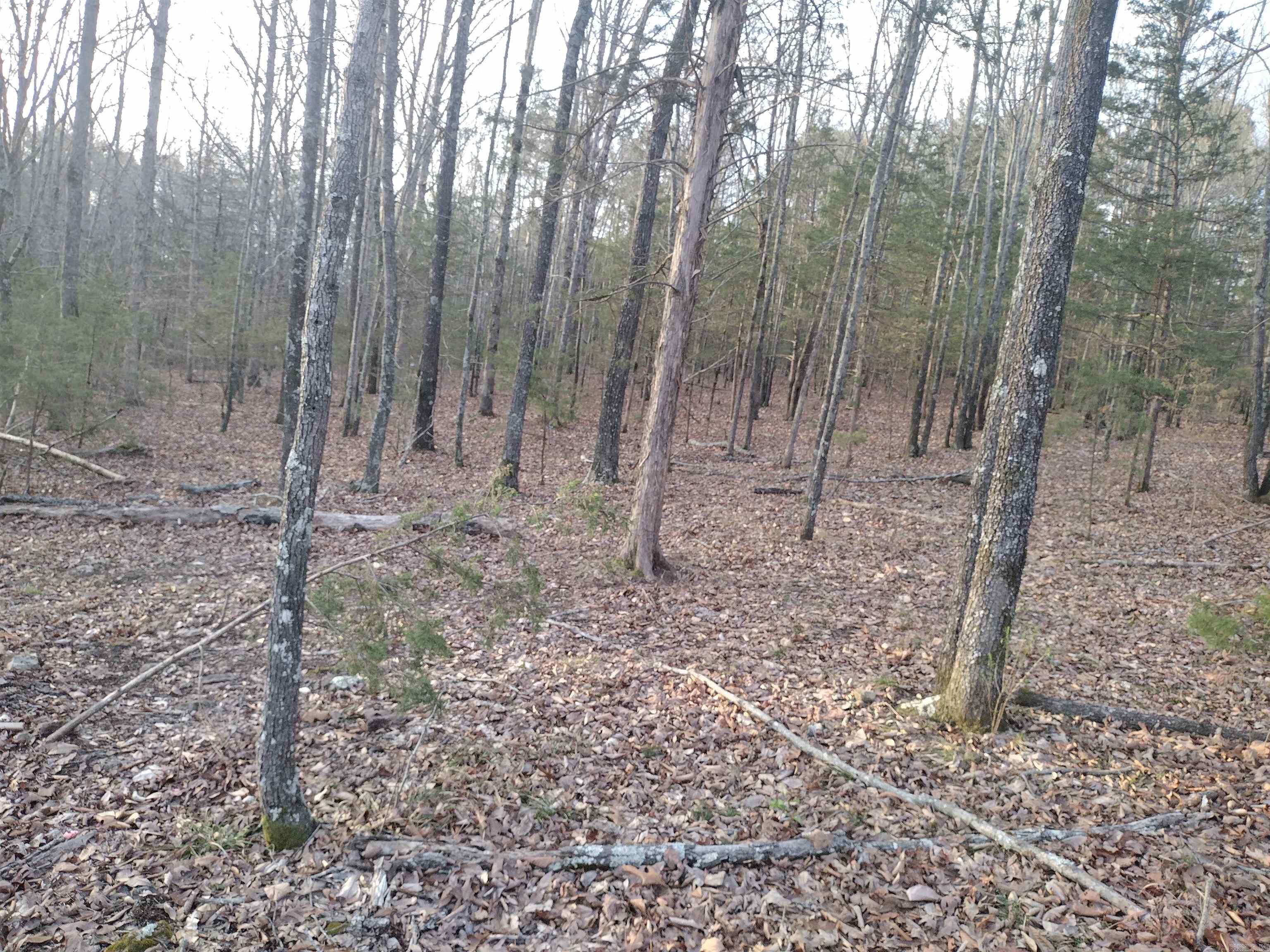 Tract 2 Alamo DR  Mountain View, AR