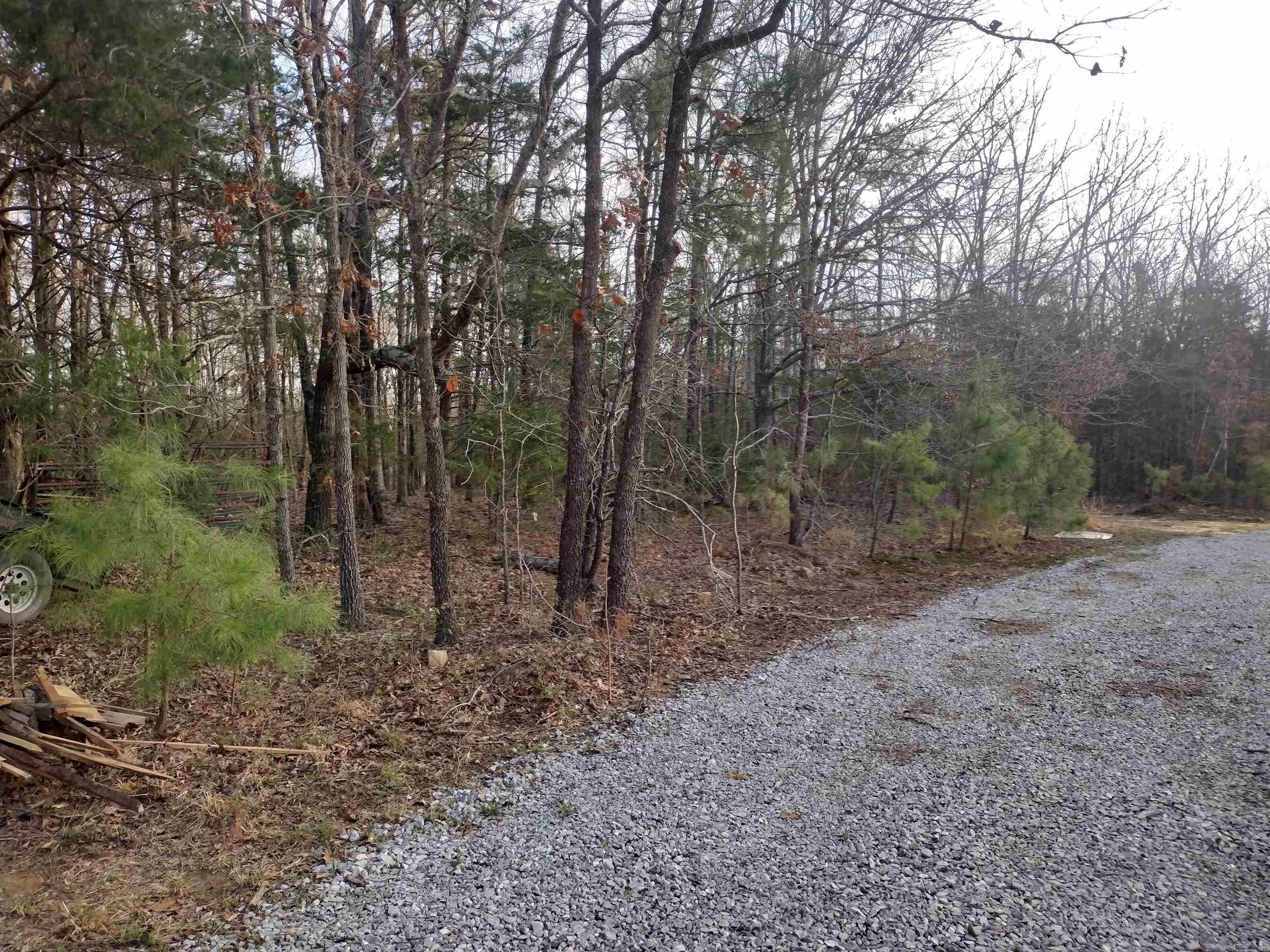 Tract 2 Alamo DR  Mountain View, AR