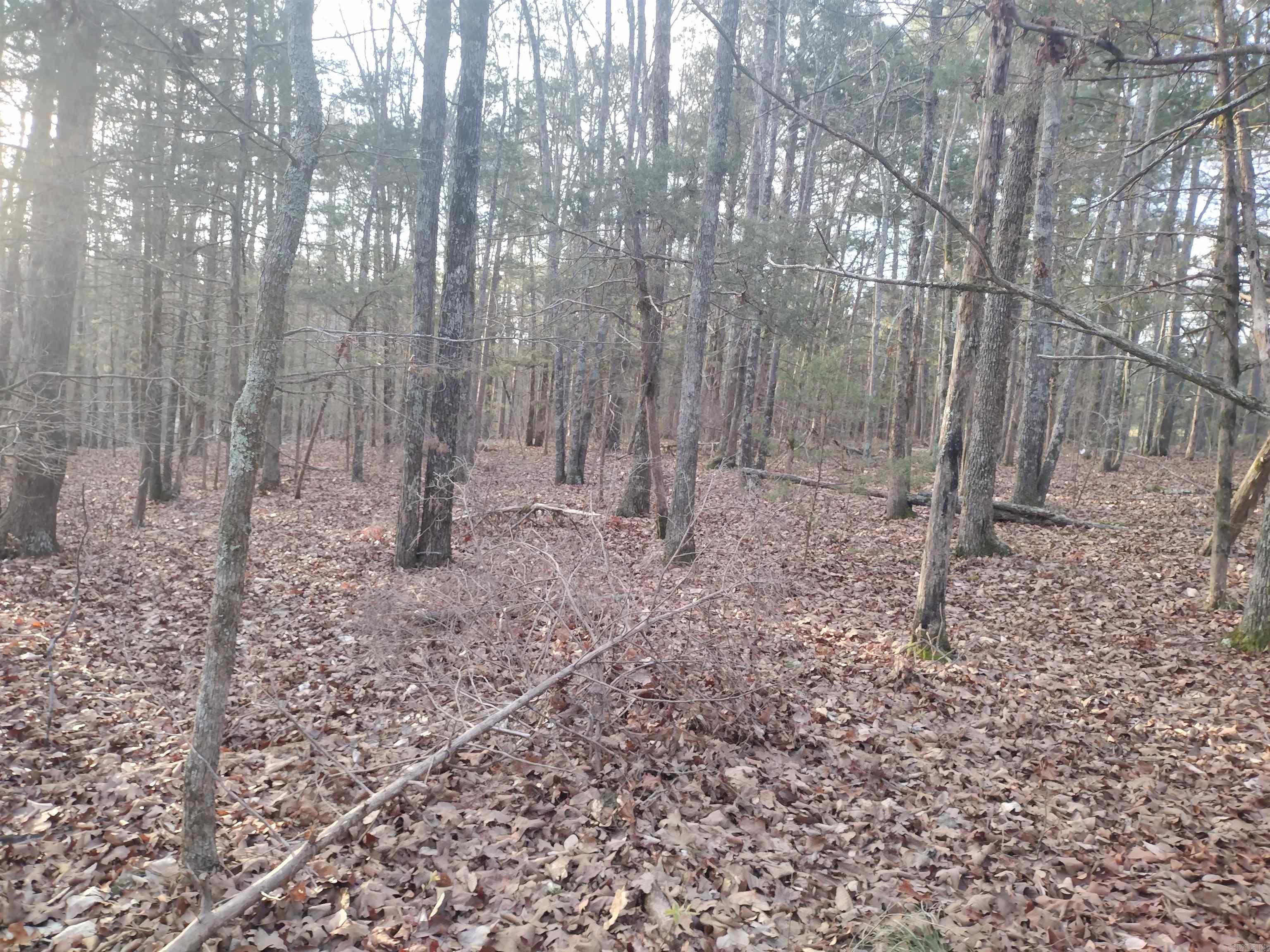 Tract 2 Alamo DR  Mountain View, AR